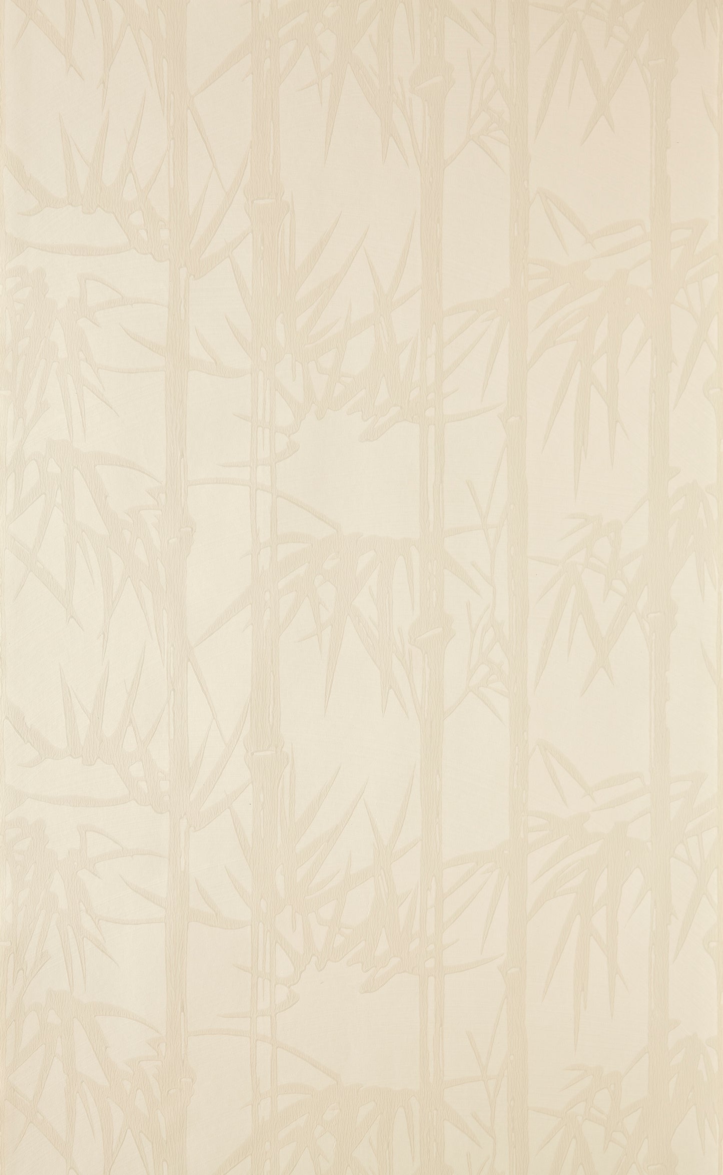 Bamboo