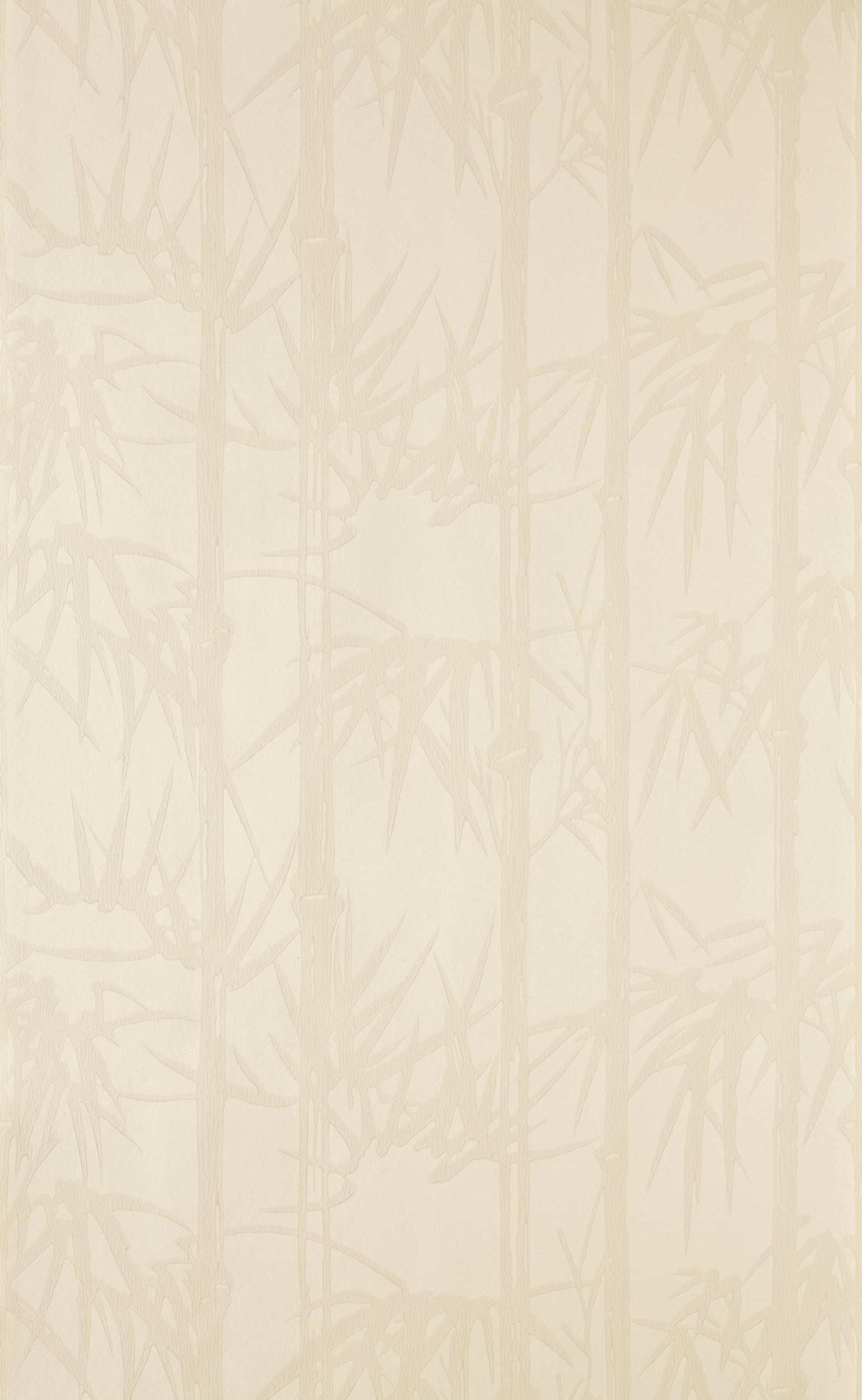 Bamboo