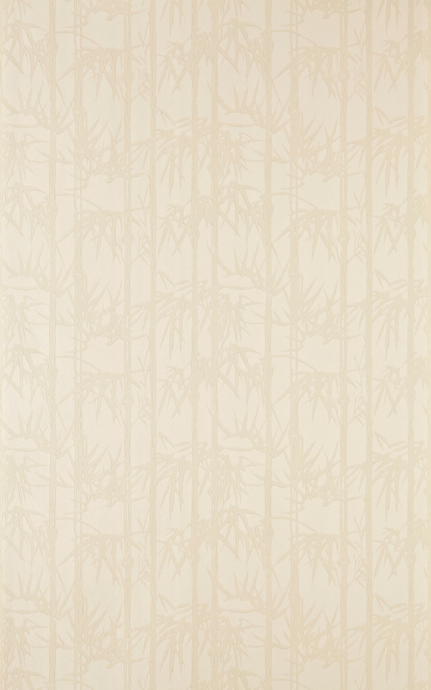 Bamboo