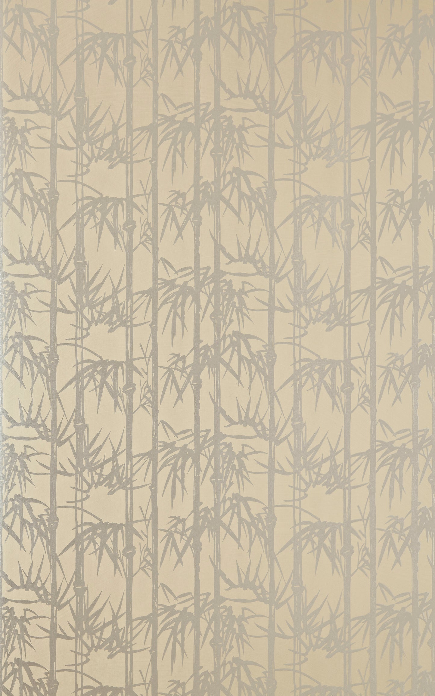 Bamboo