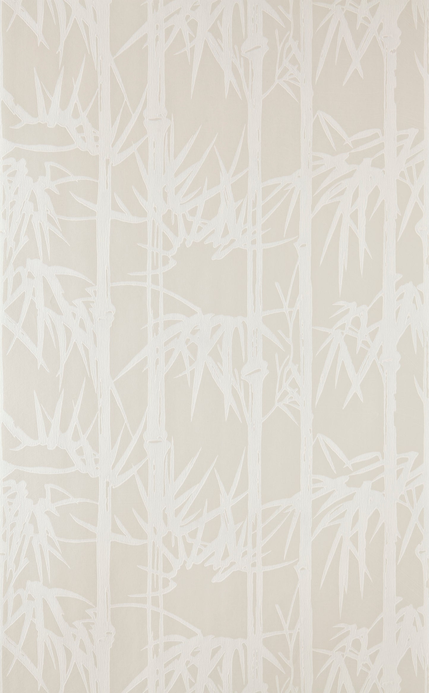 Bamboo