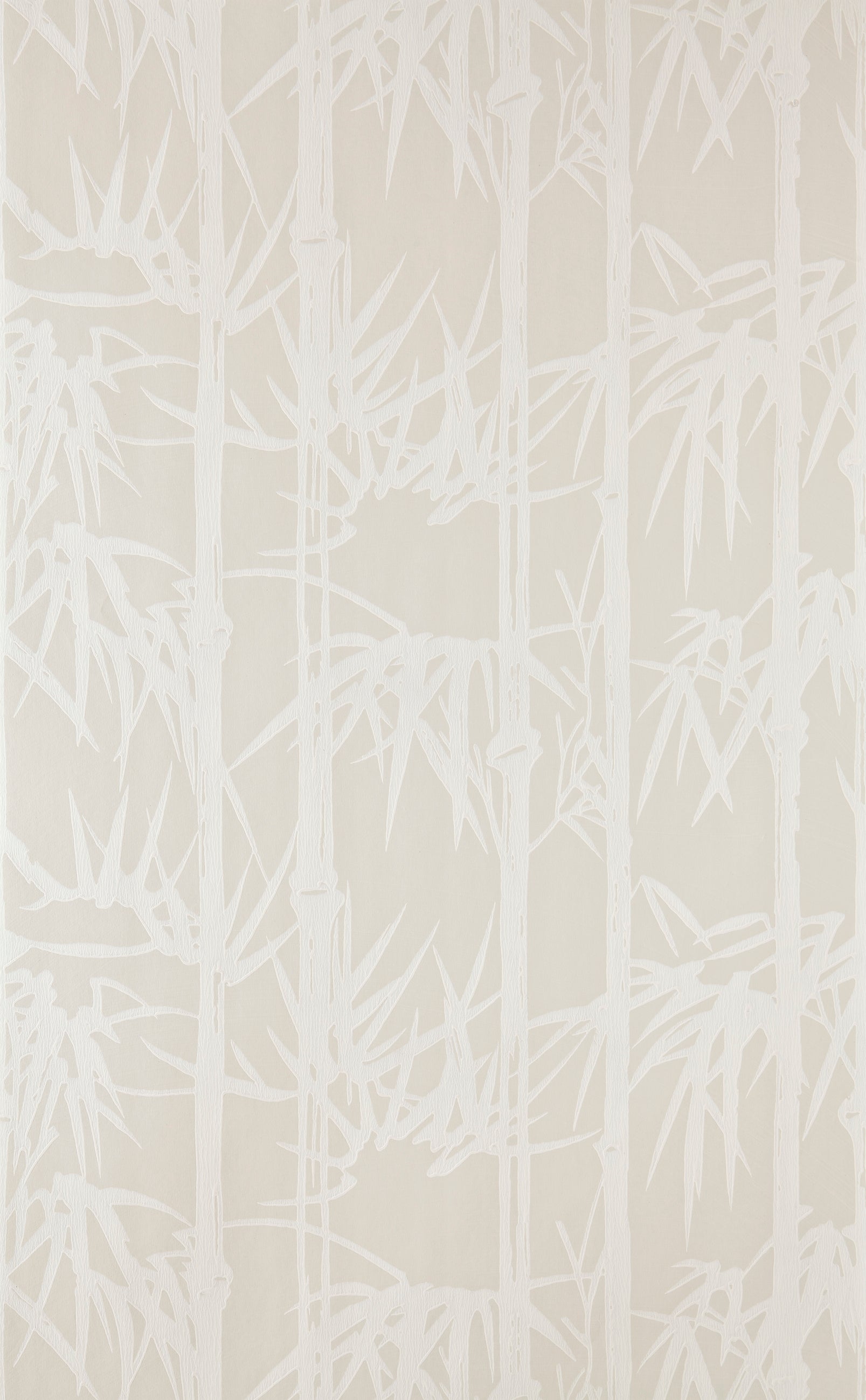 Bamboo