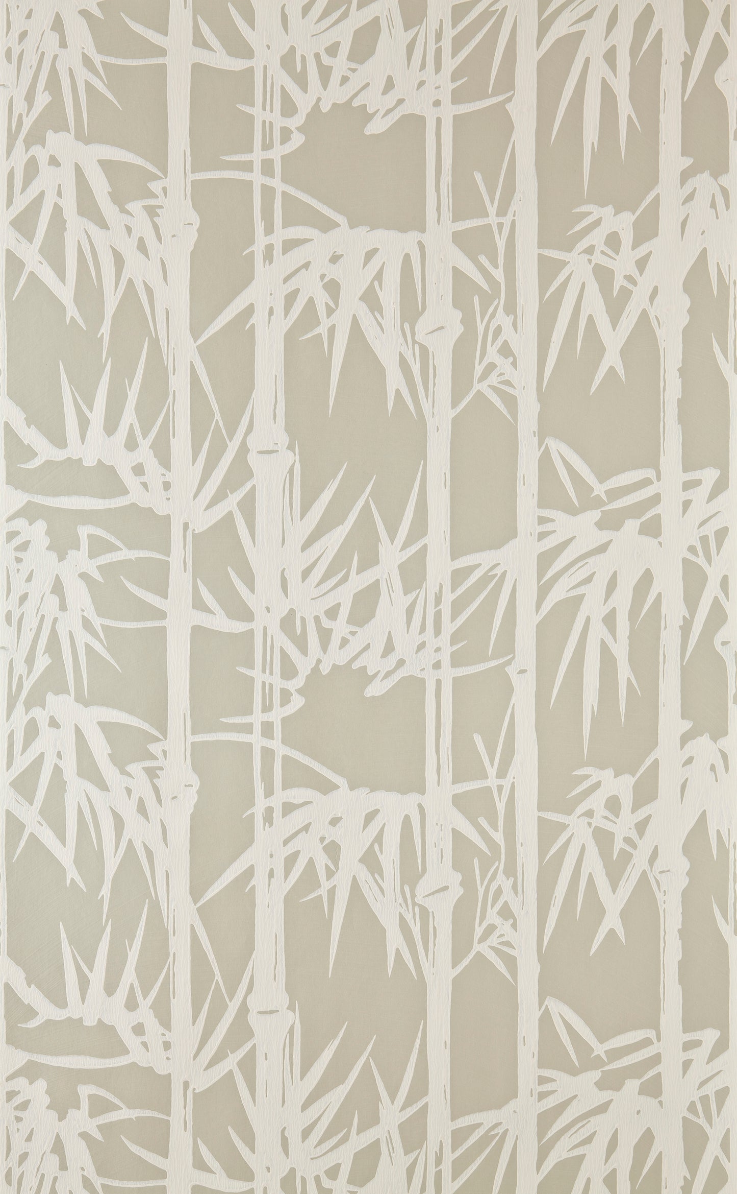 Bamboo