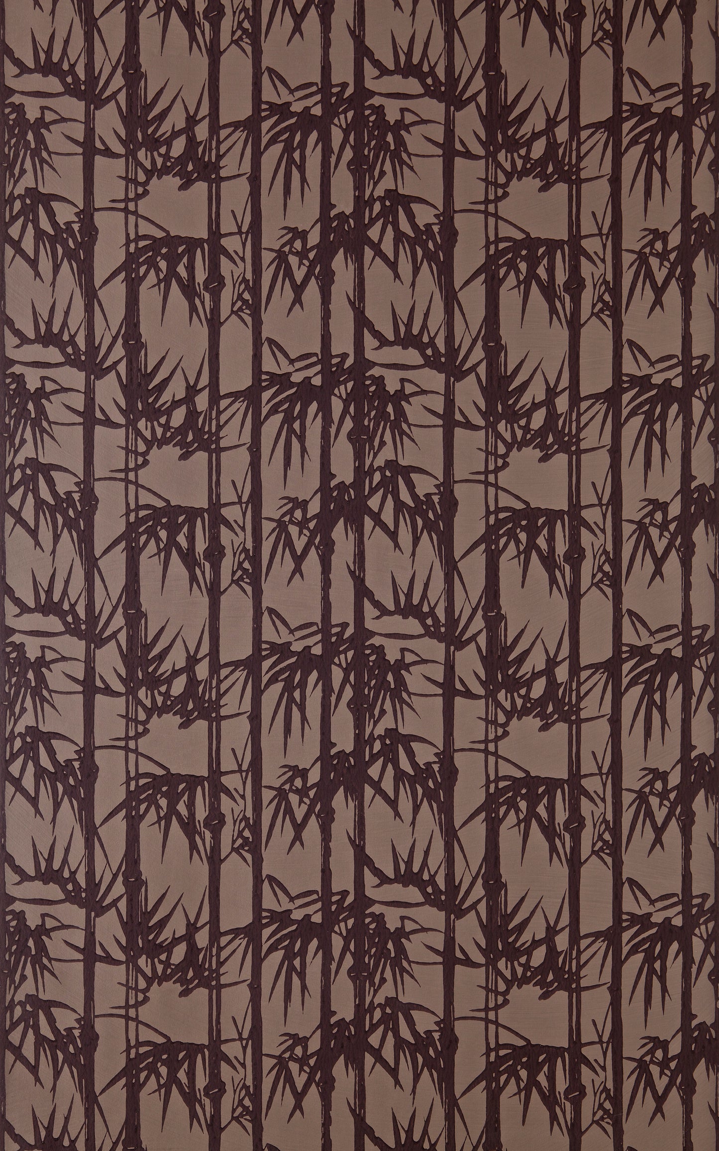 Bamboo