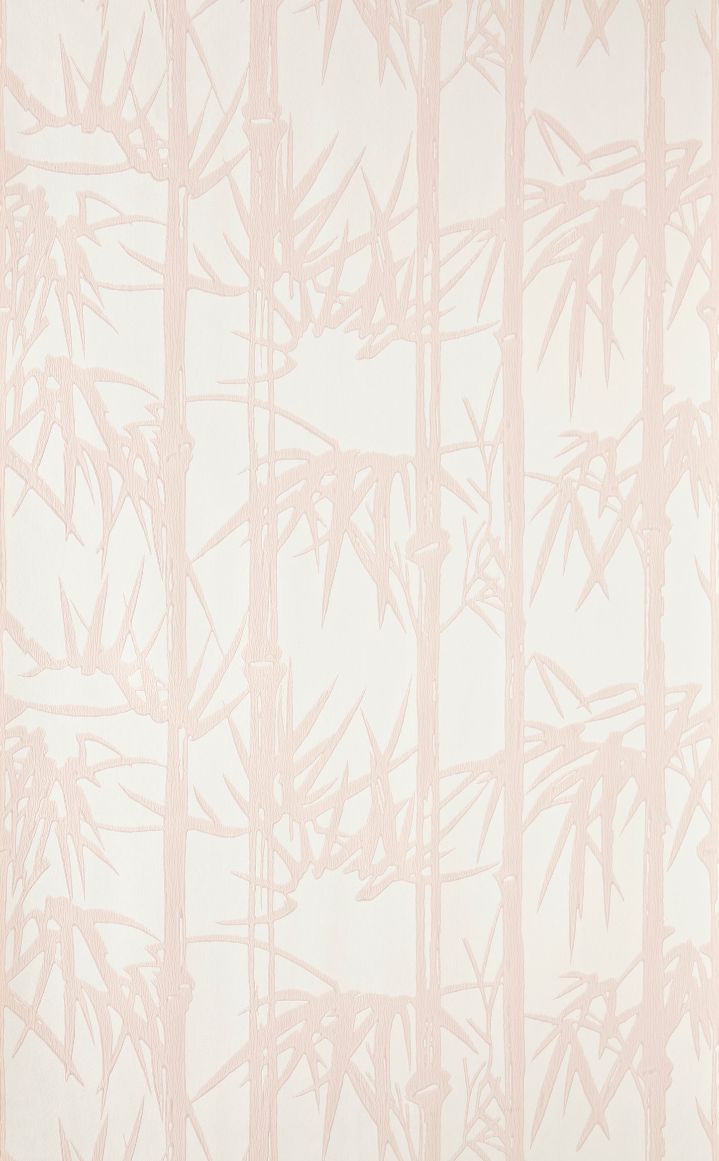 Bamboo