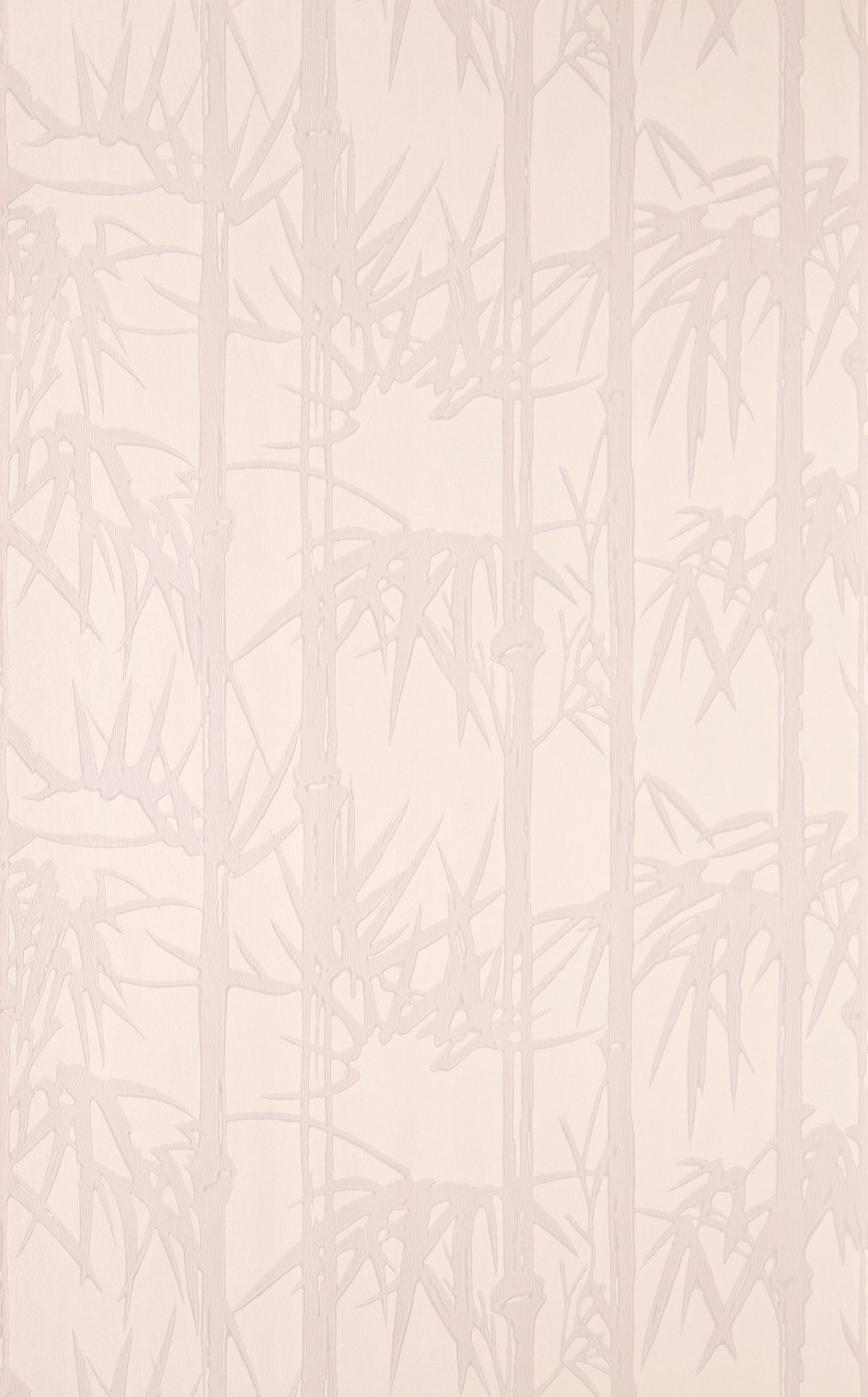 Bamboo