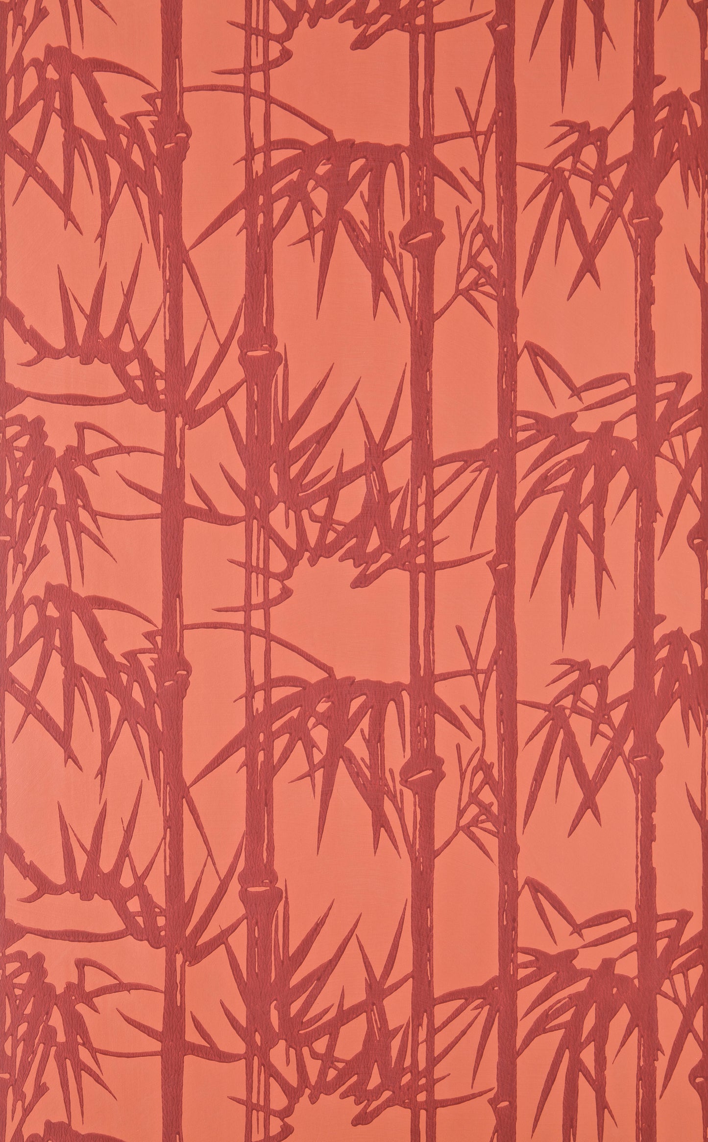 Bamboo