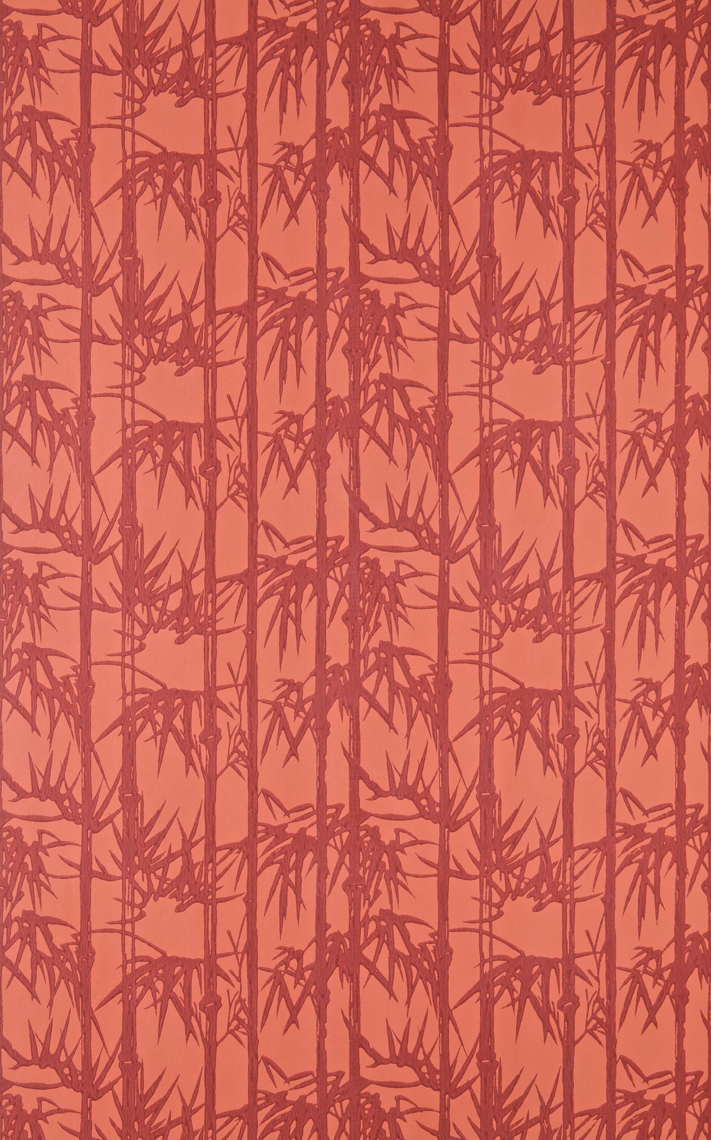Bamboo