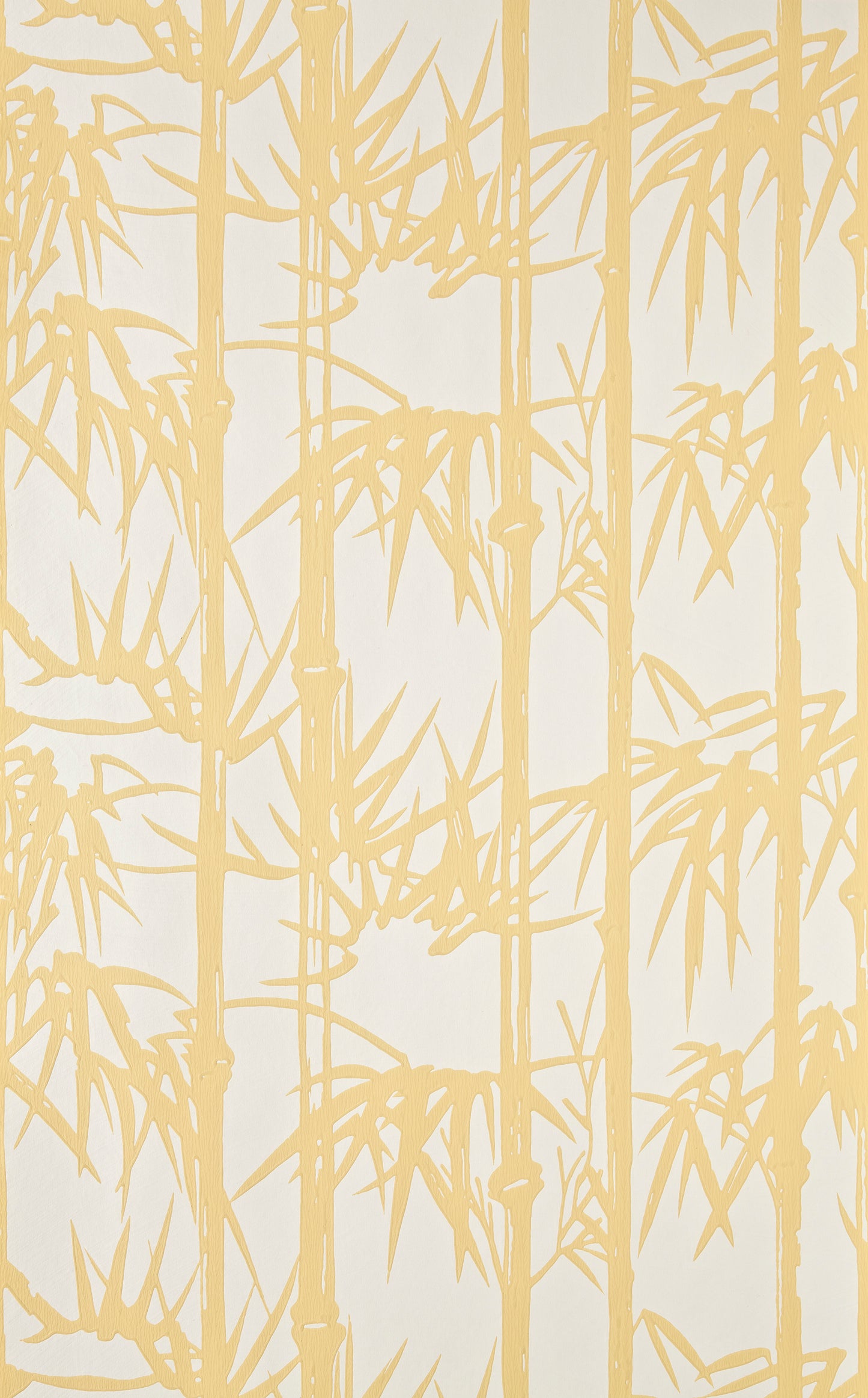 Bamboo