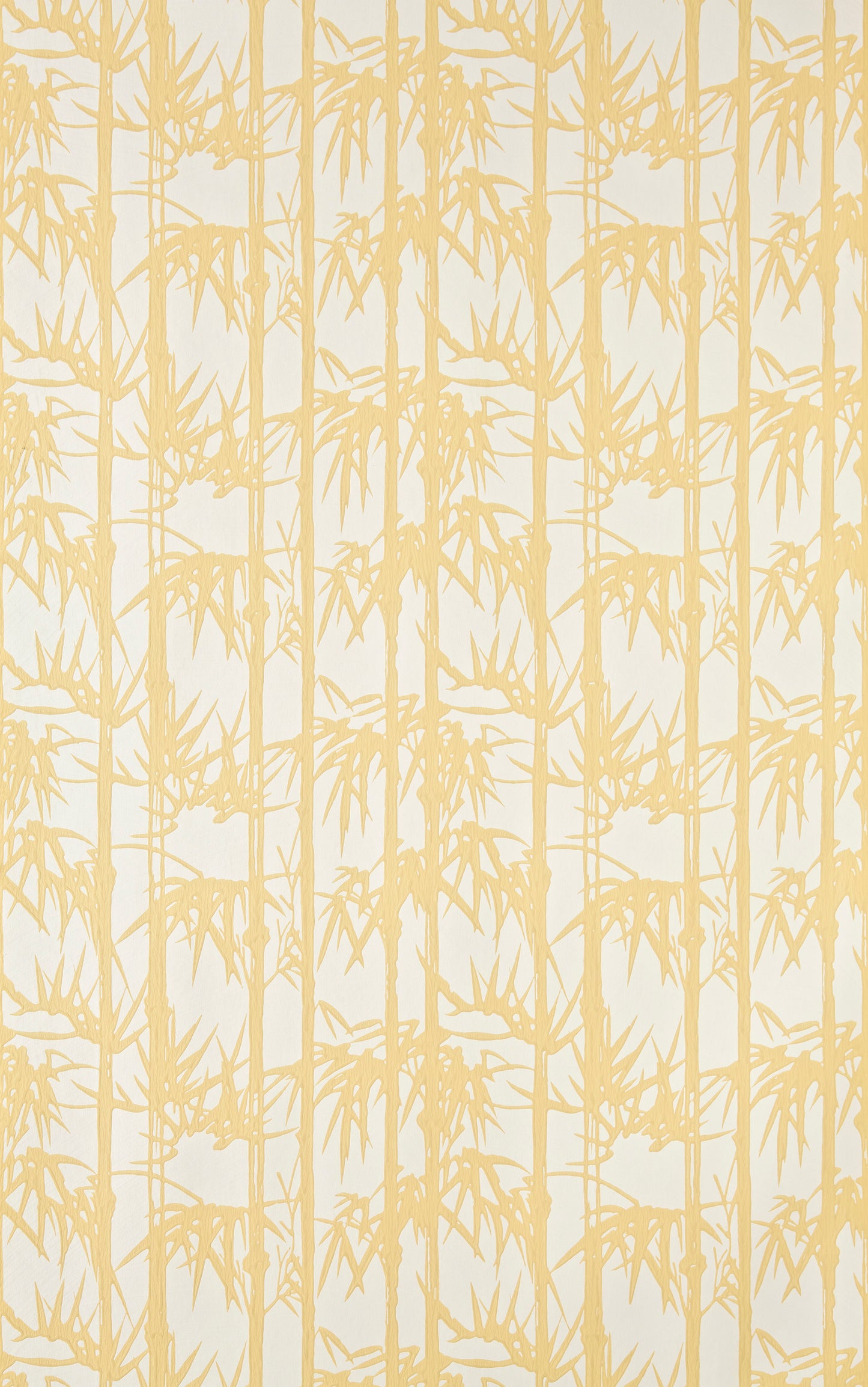 Bamboo