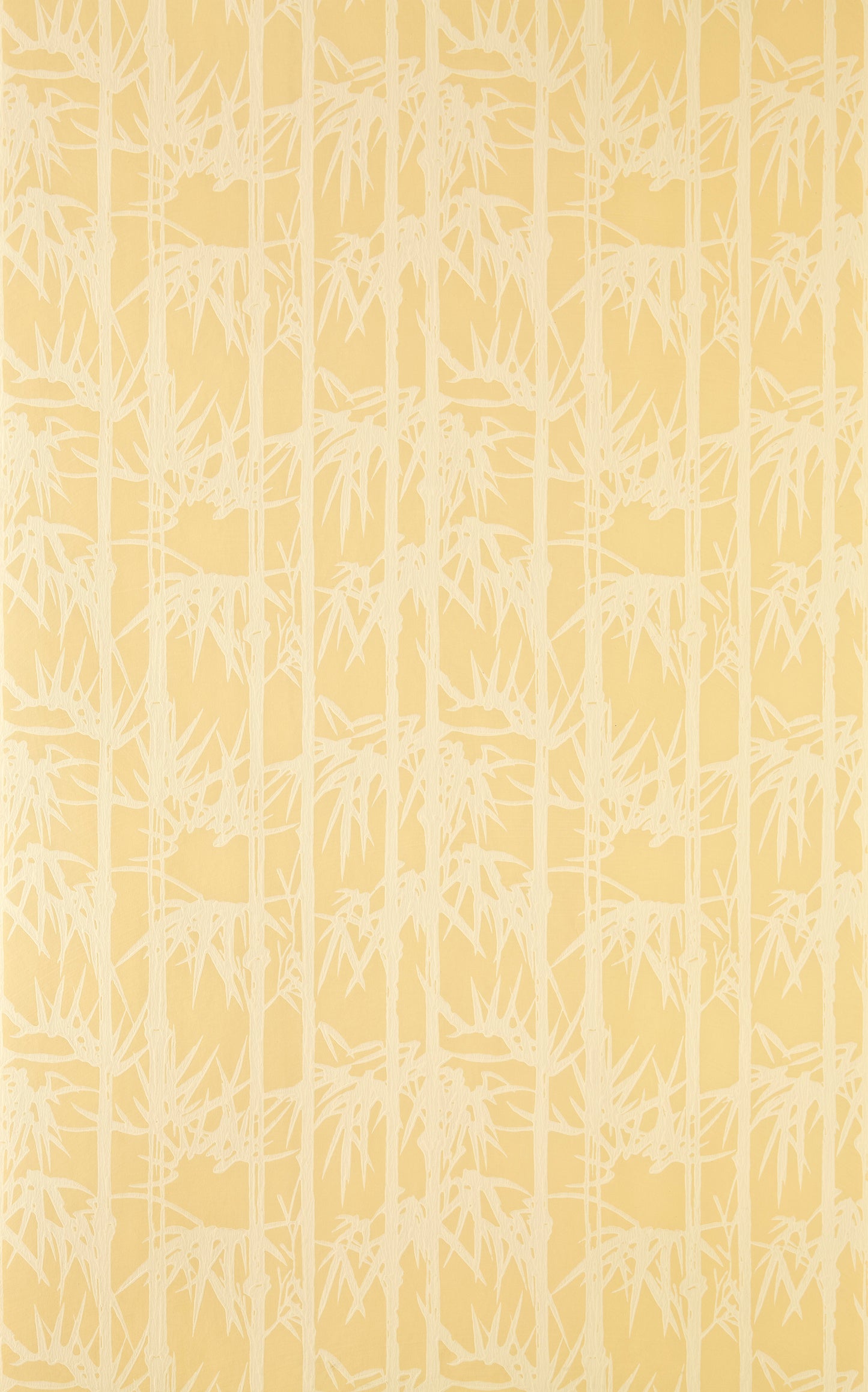 Bamboo