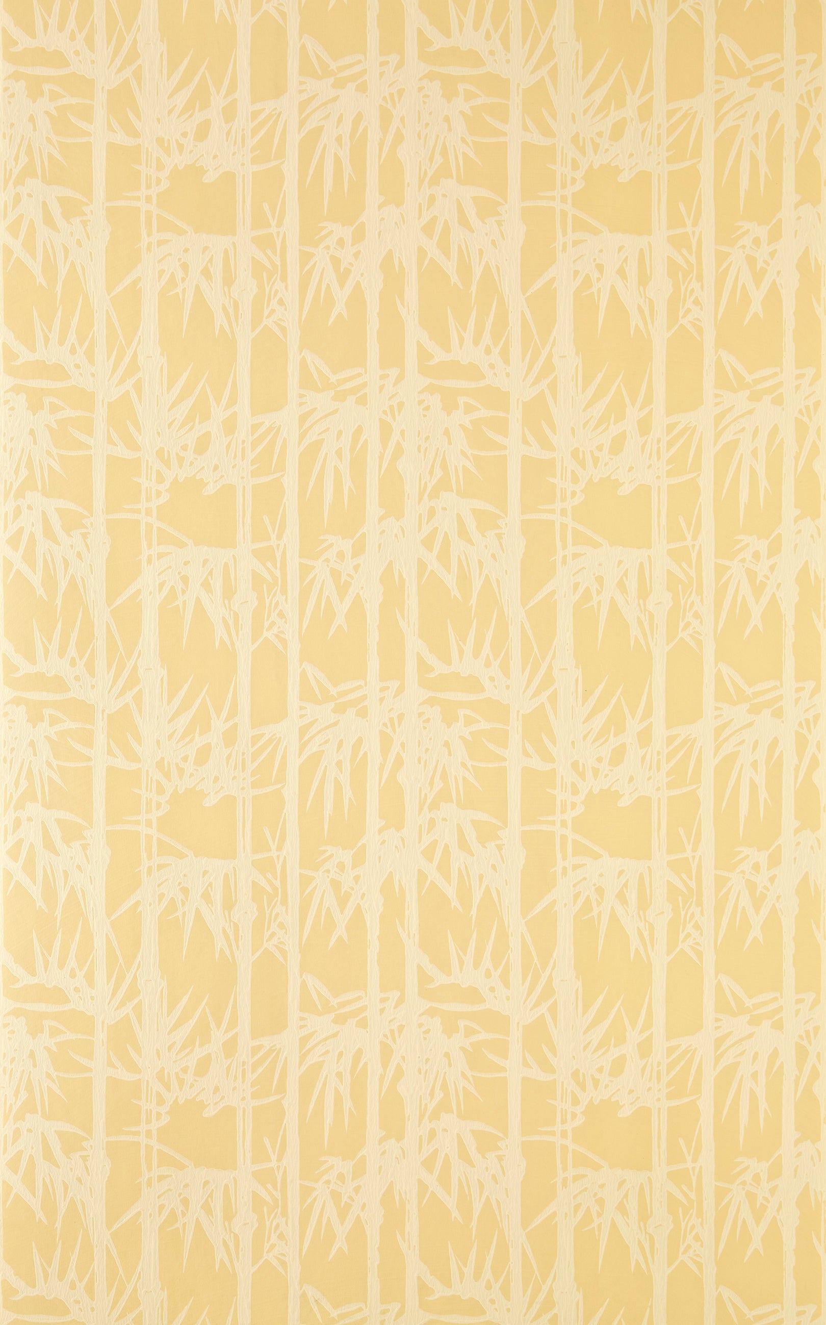 Bamboo