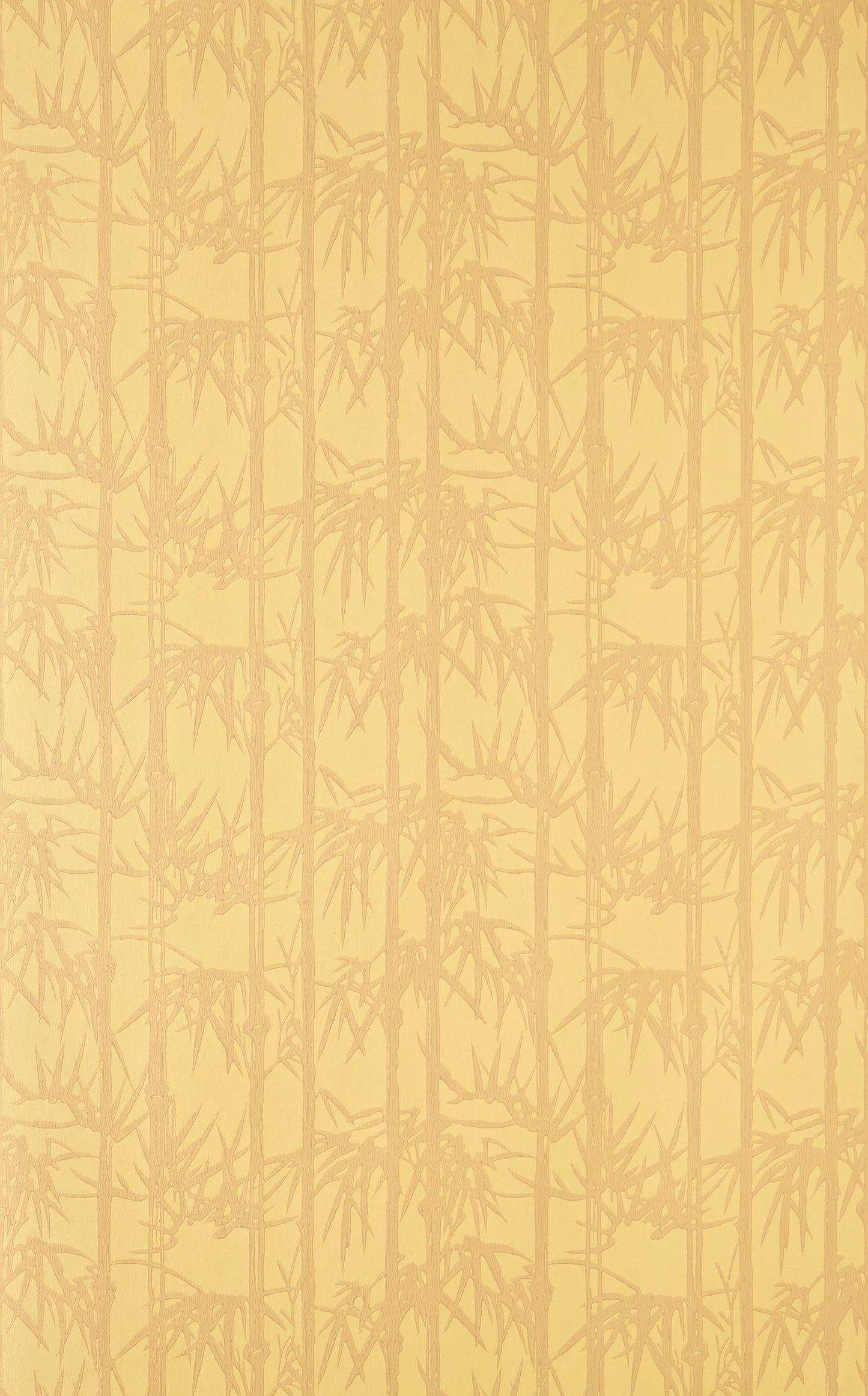 Bamboo