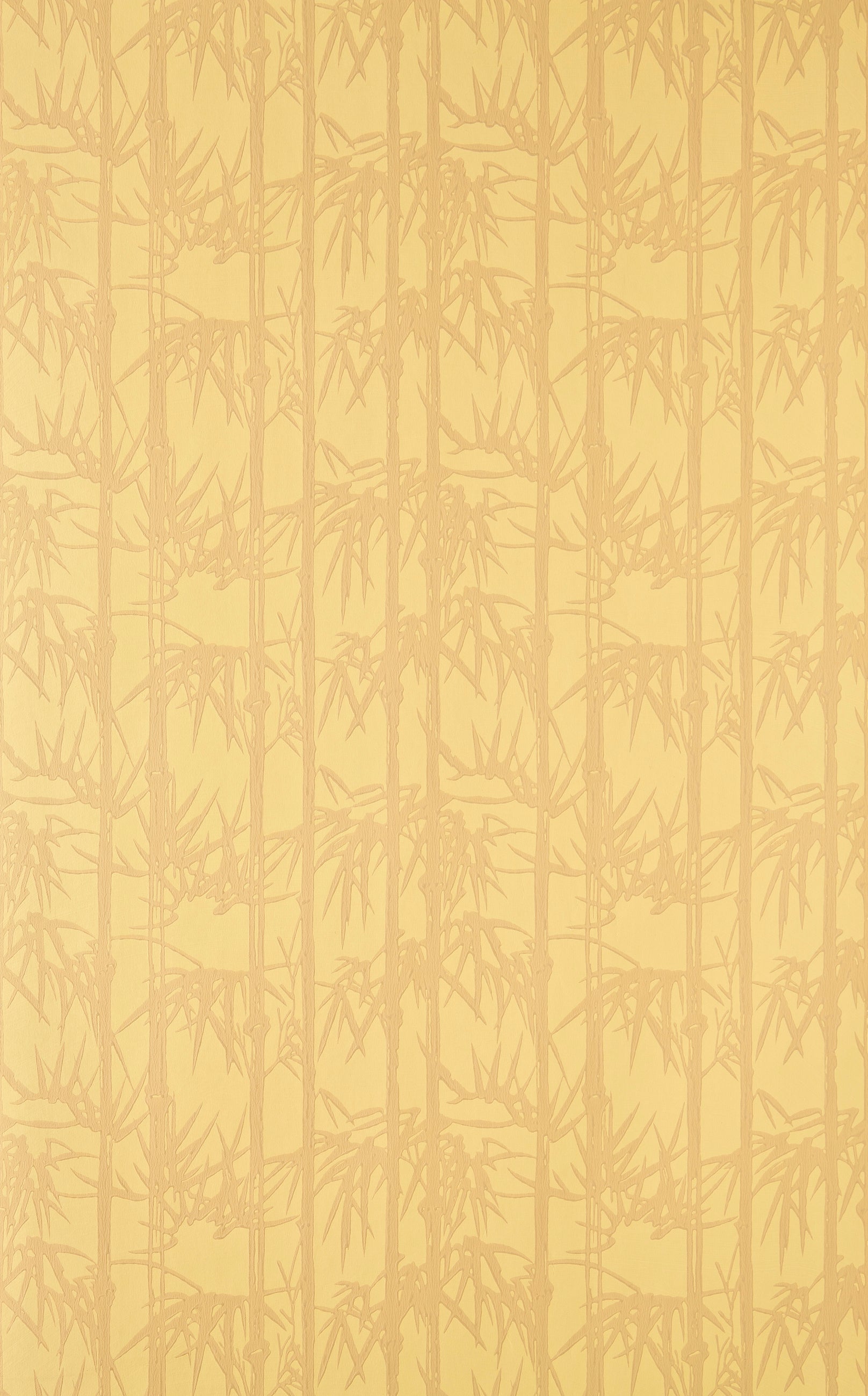 Bamboo