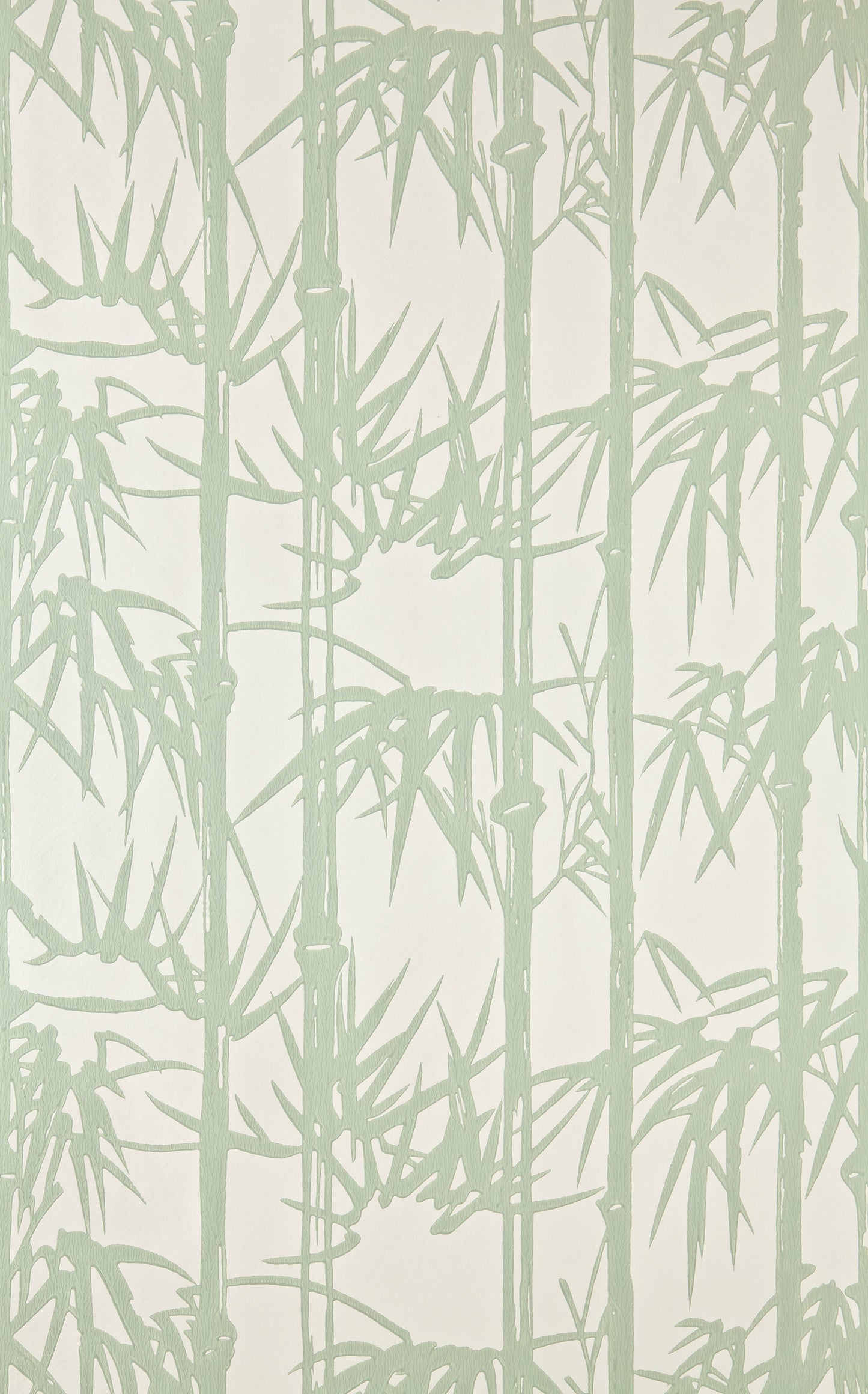 Bamboo