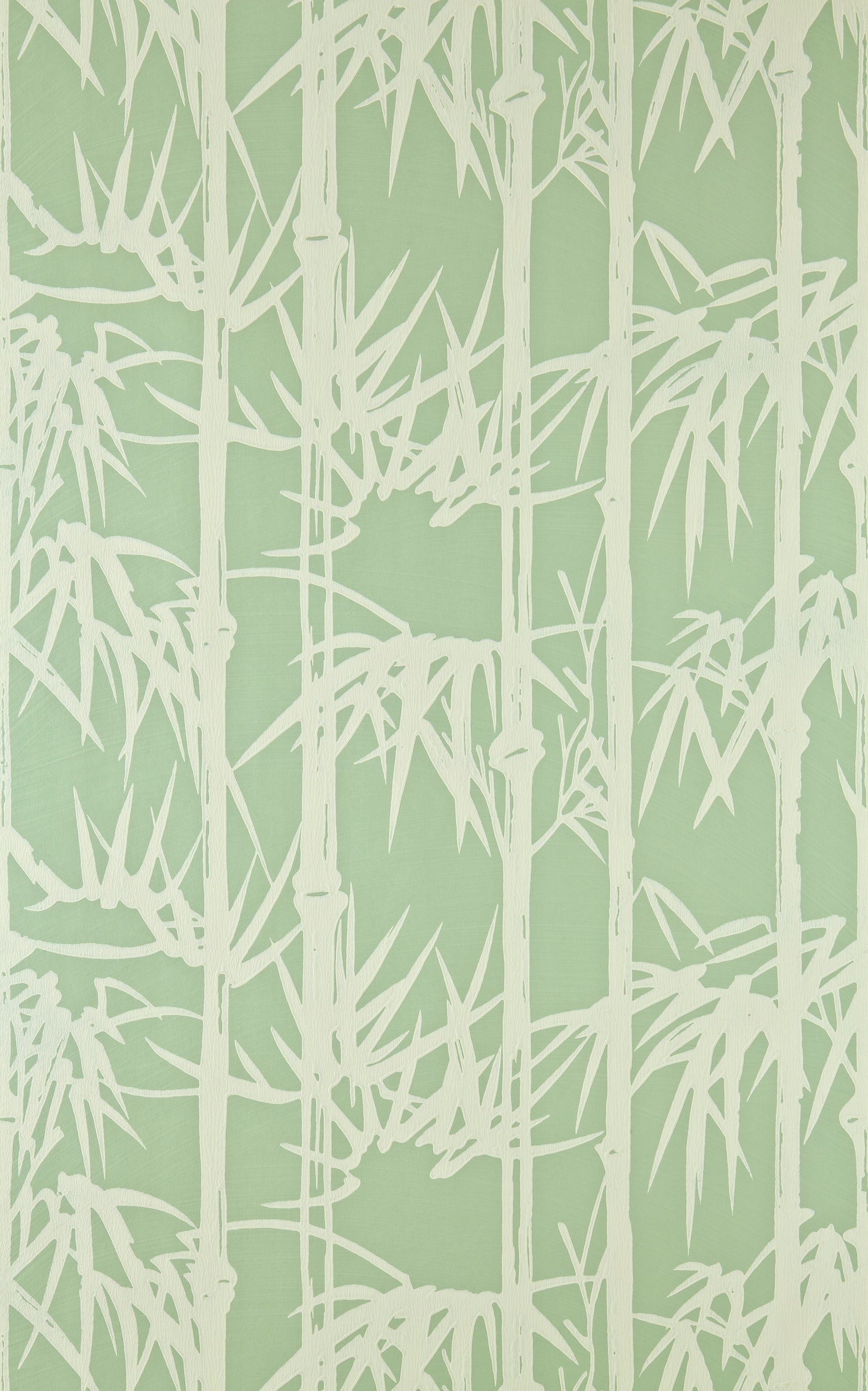 Bamboo