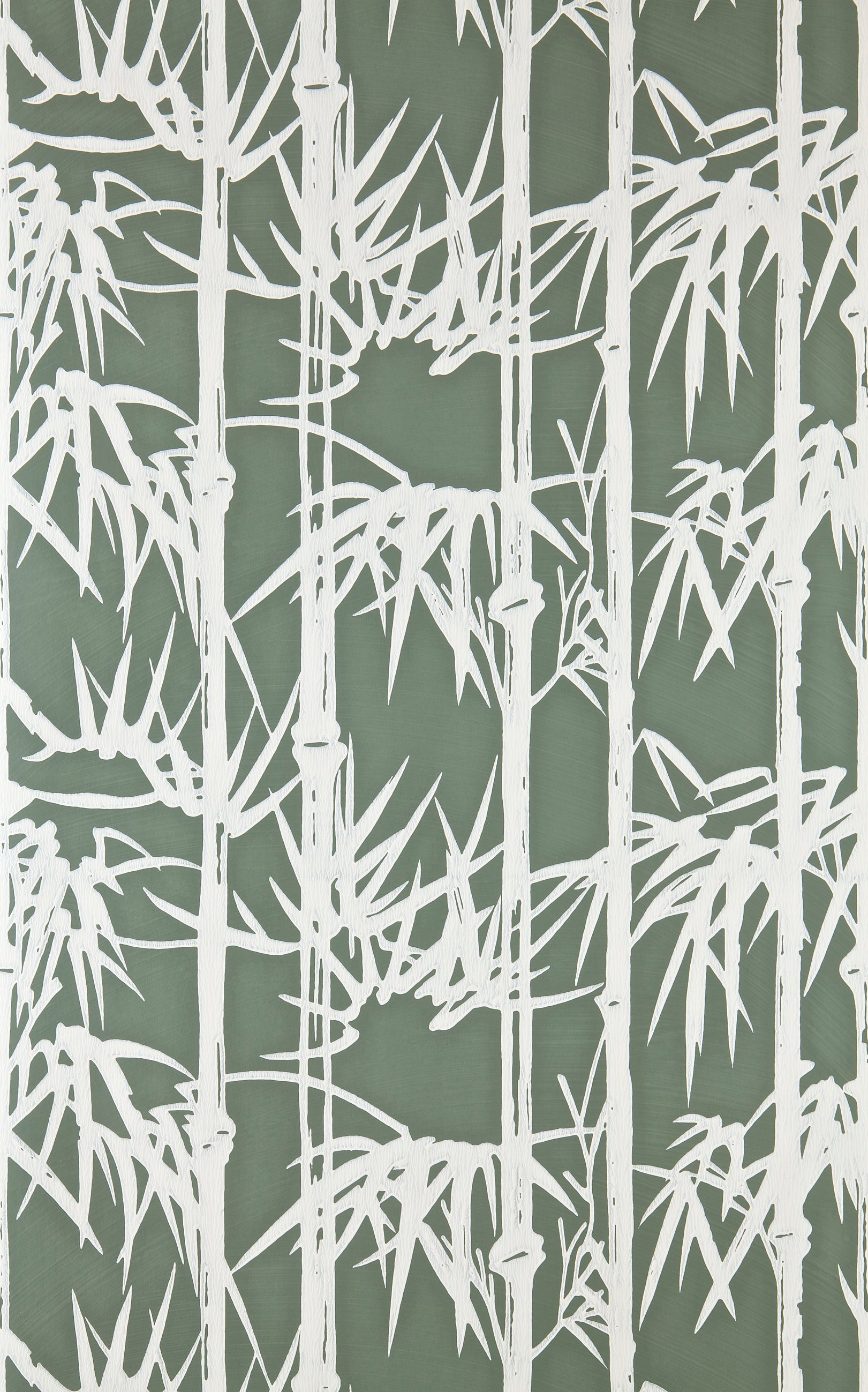 Bamboo