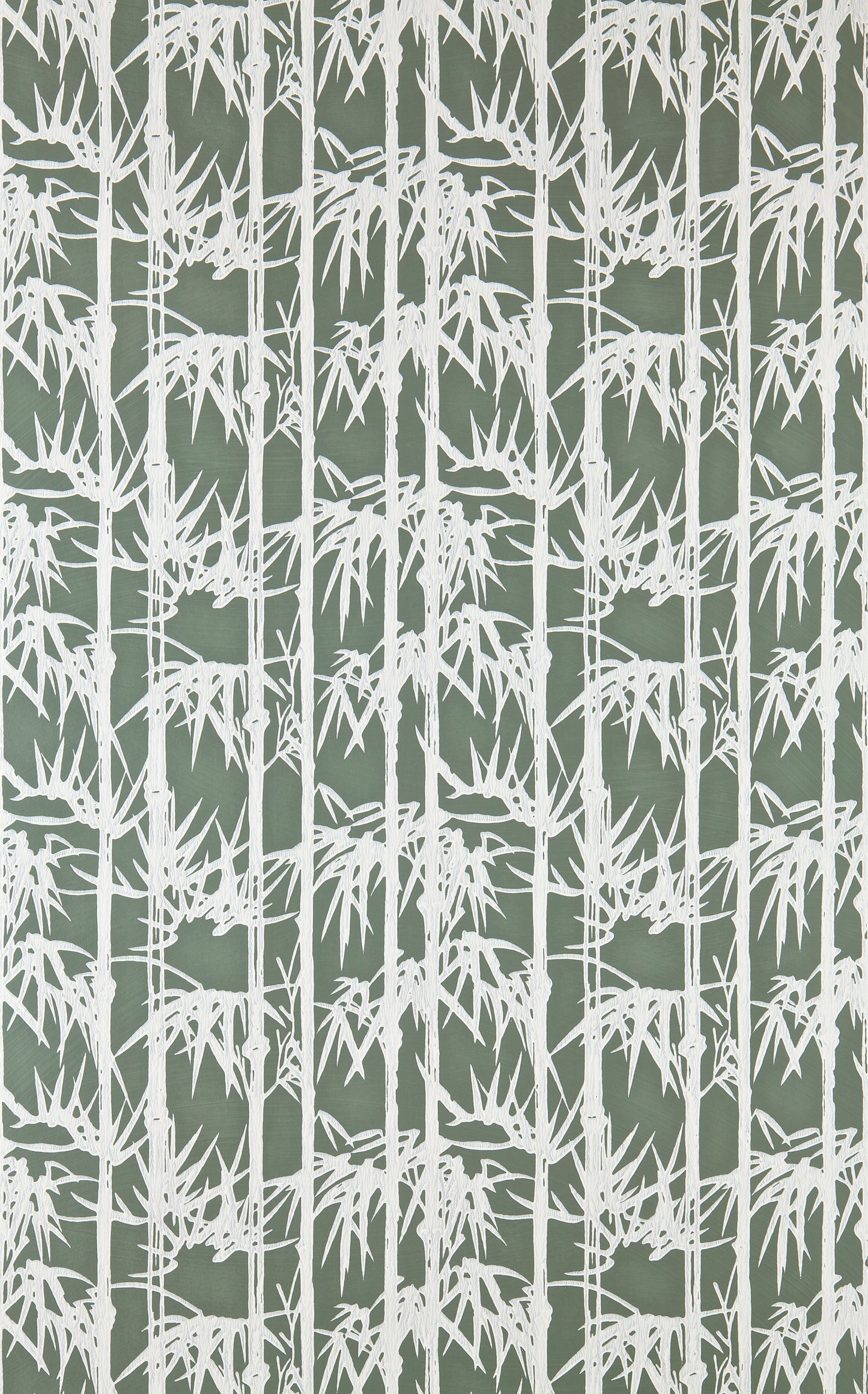 Bamboo