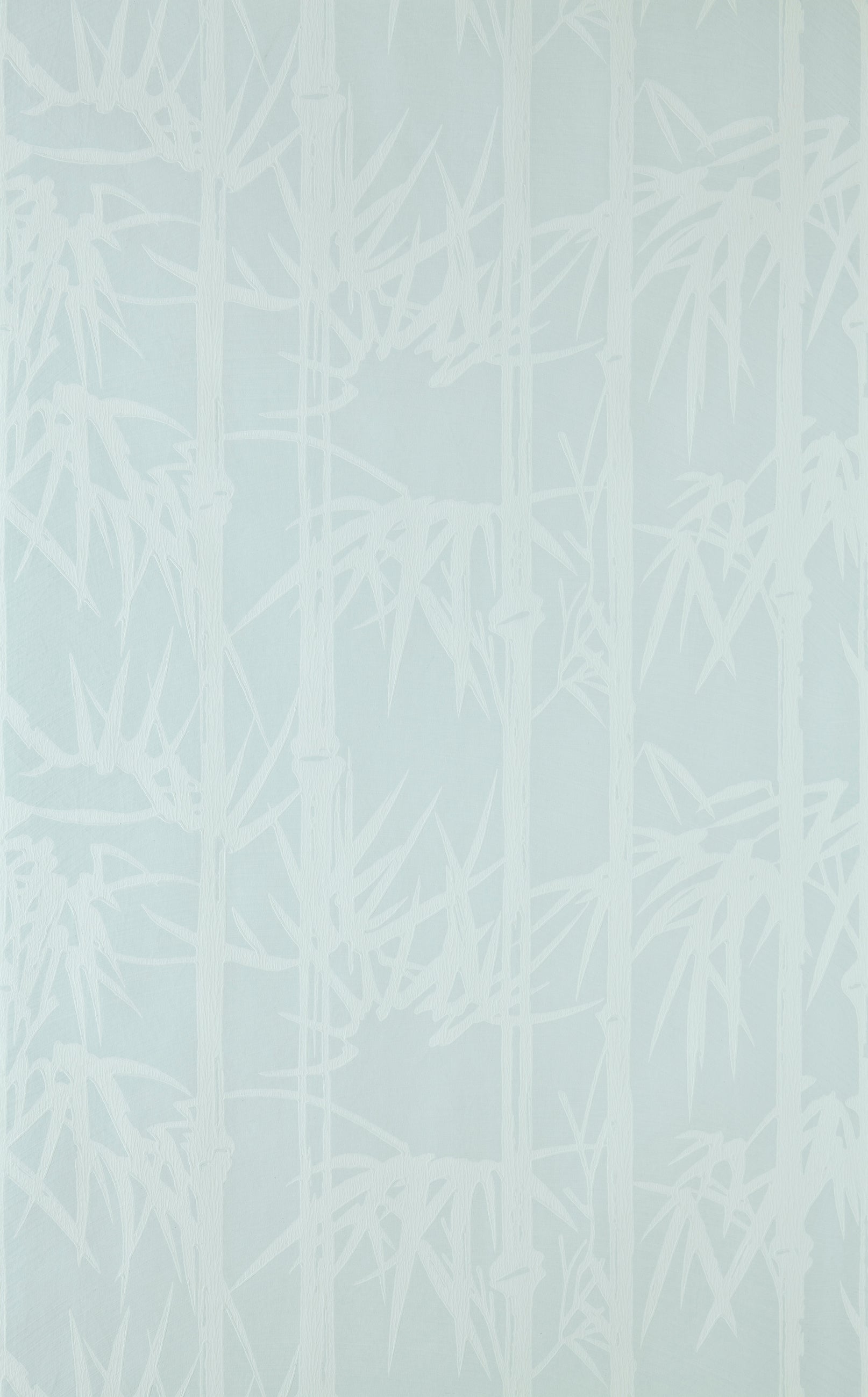 Bamboo