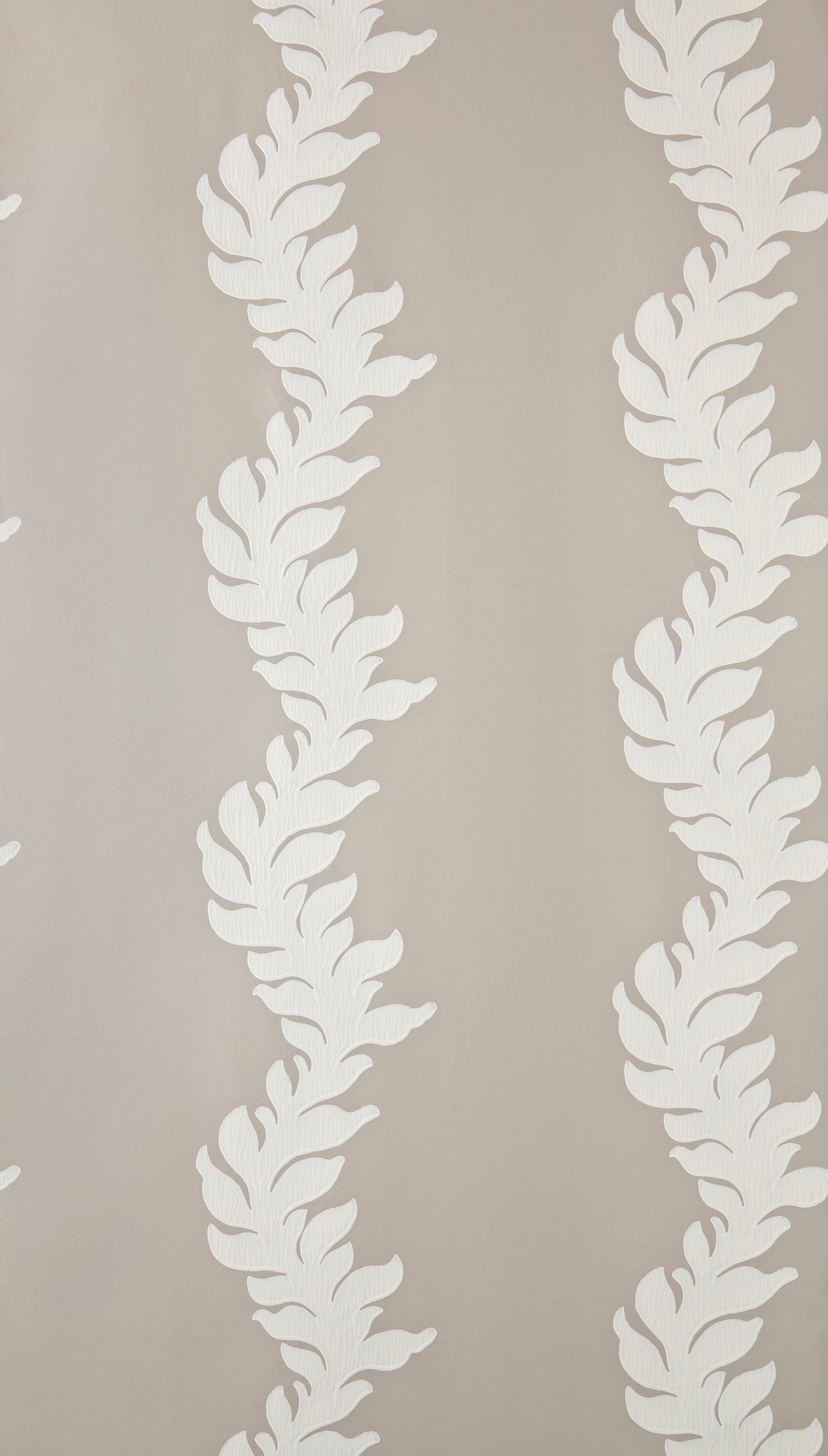 Acanthus