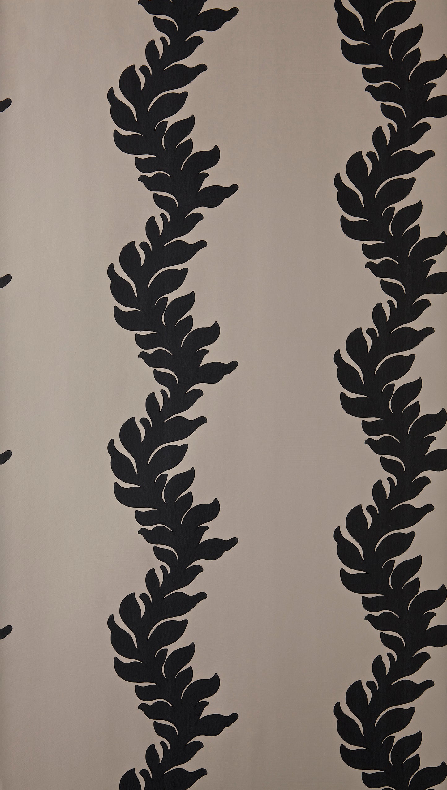 Acanthus