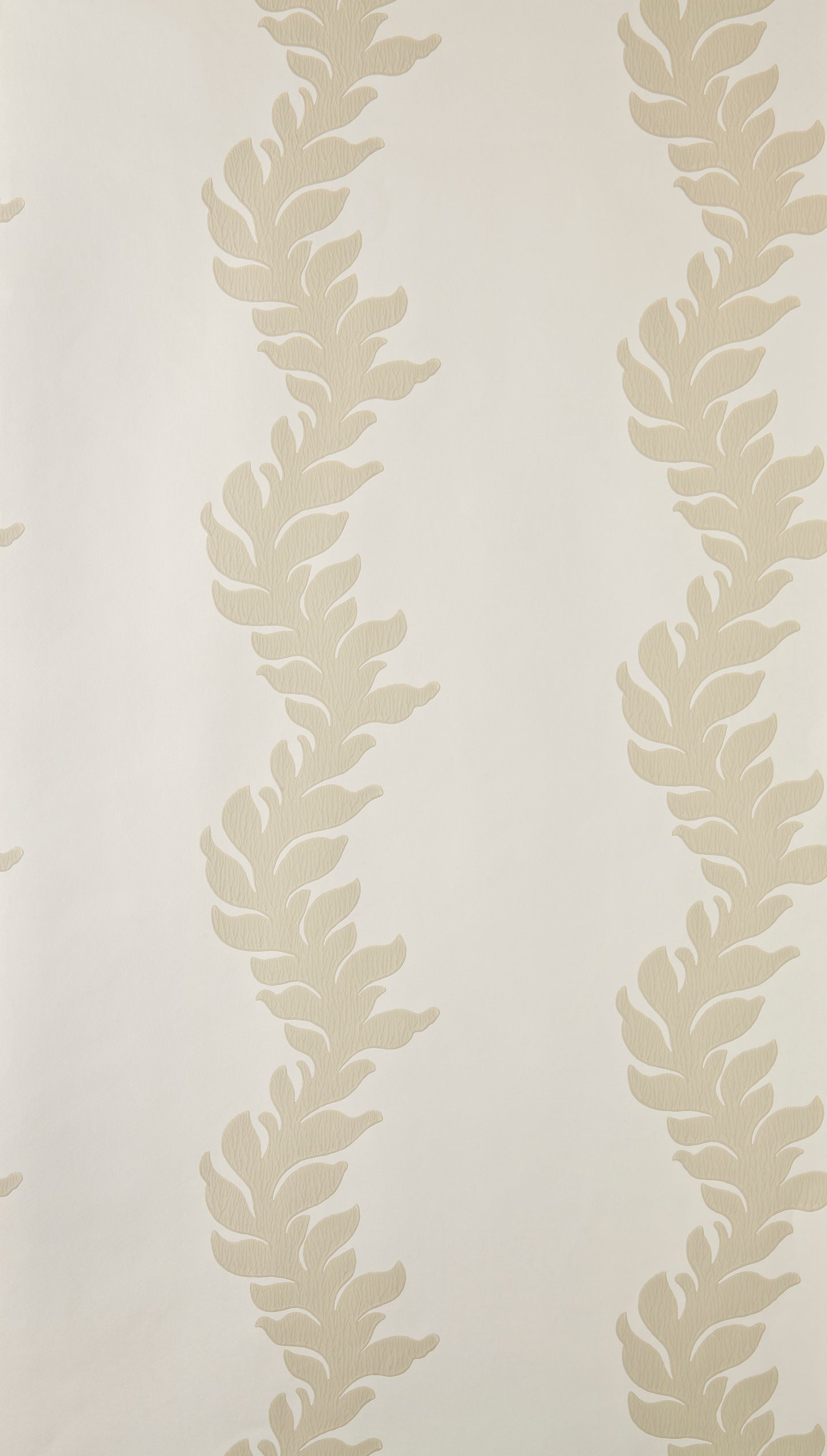 Acanthus