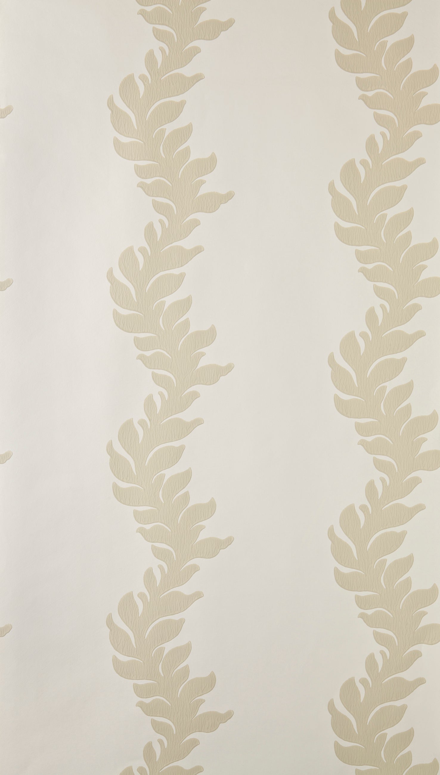 Acanthus