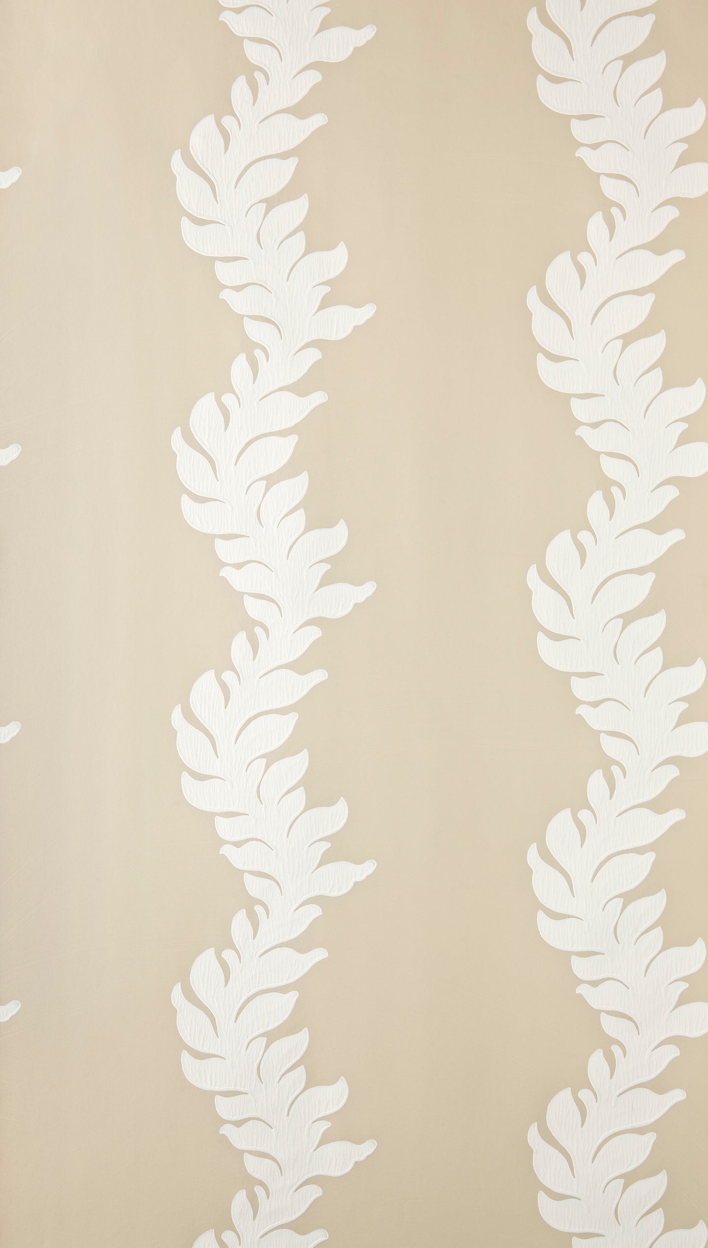 Acanthus