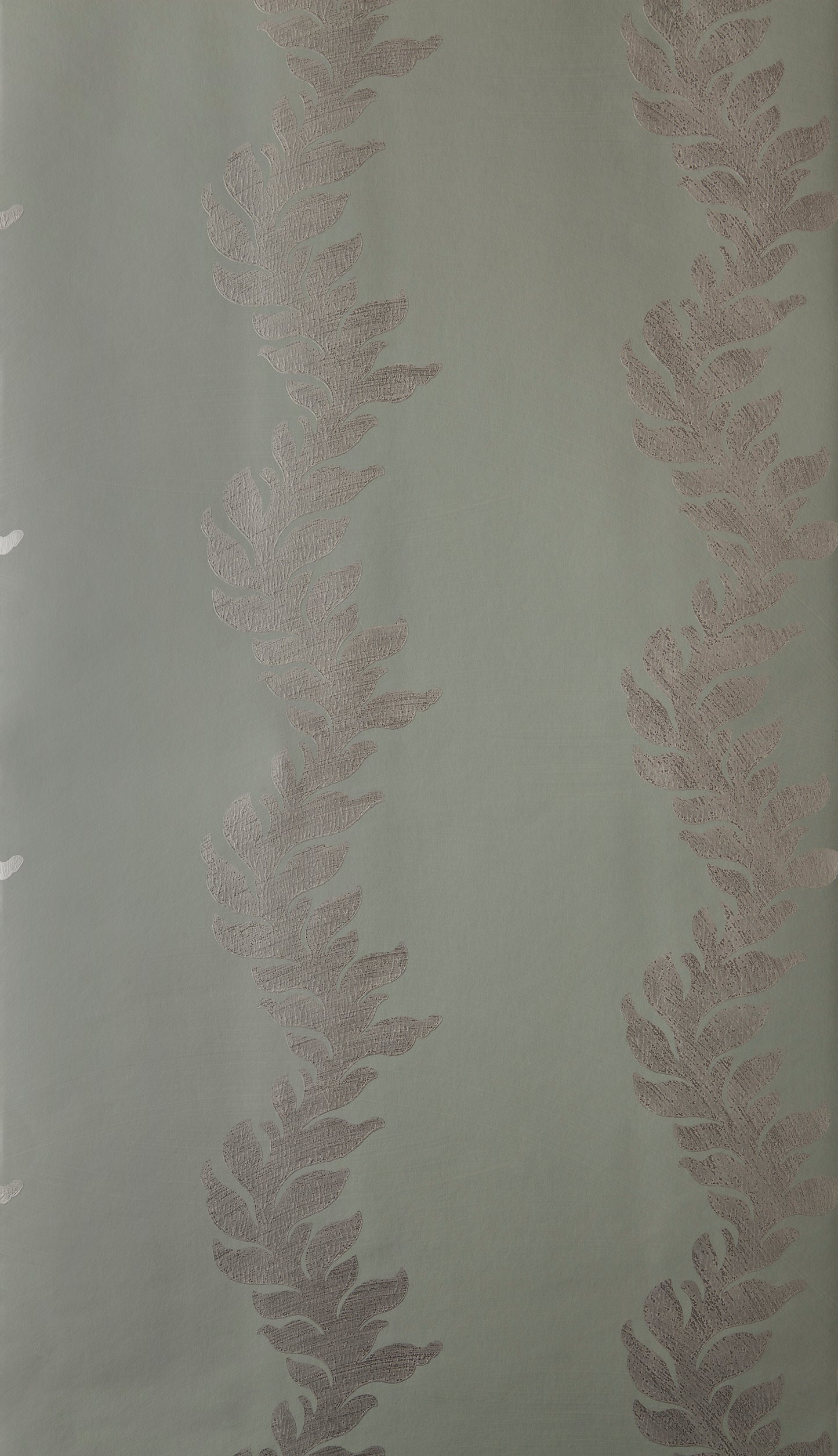 Acanthus
