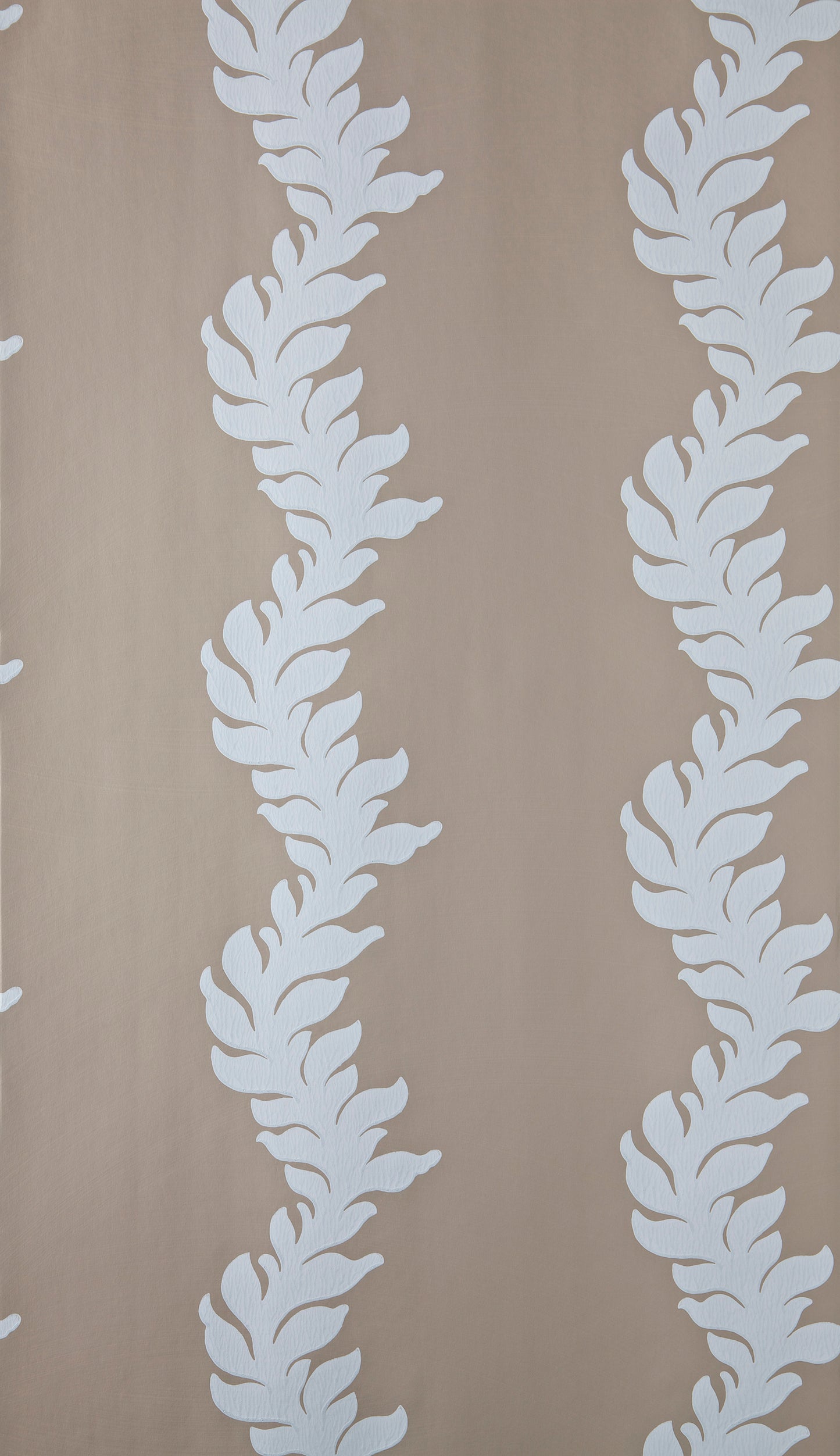 Acanthus