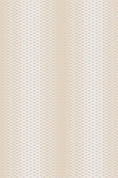 Lattice