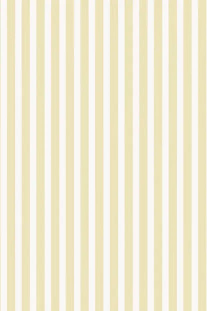 Closet Stripe