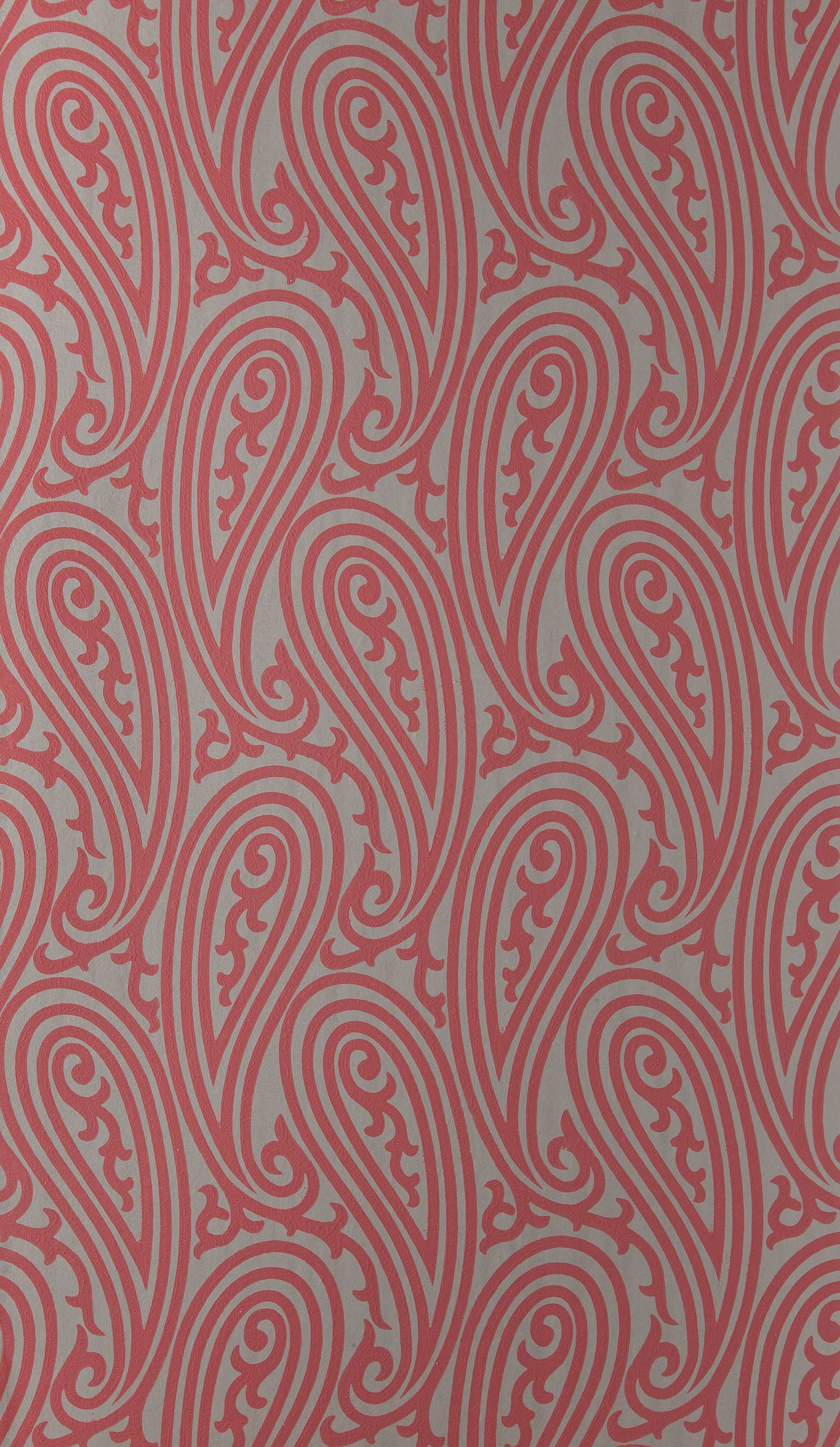 Paisley