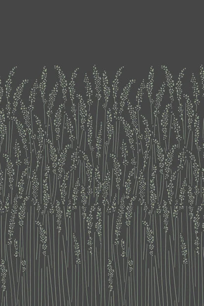 Feather Grass
