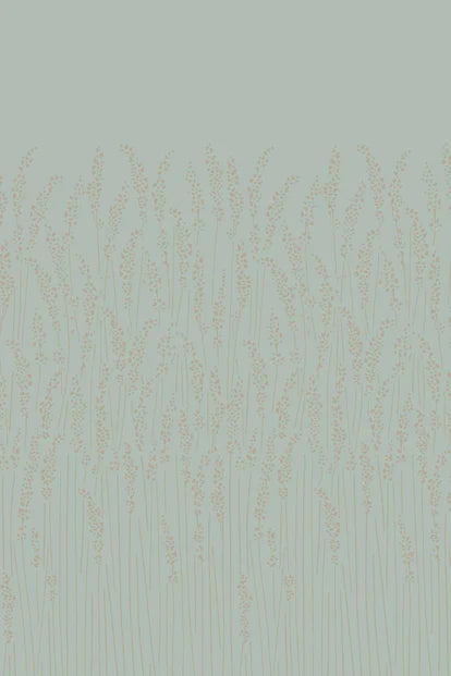 Feather Grass
