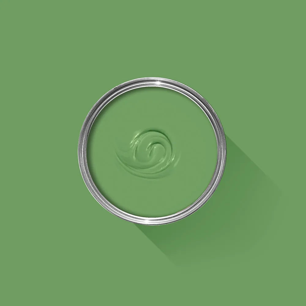 Raw Tomatillo