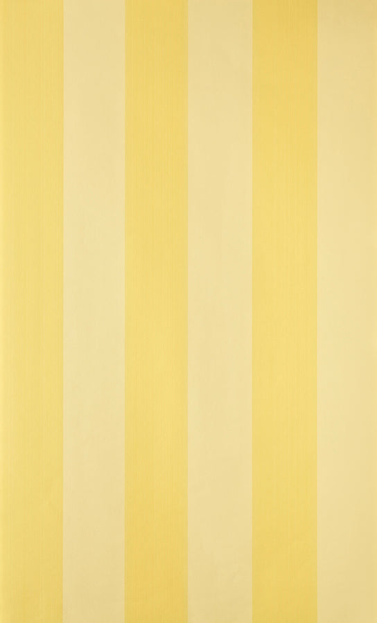 Plain Stripe