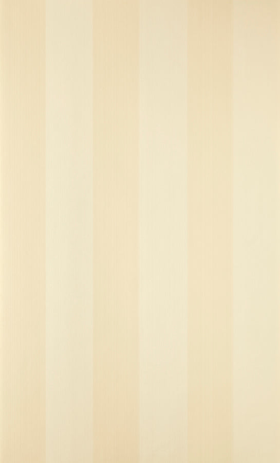Plain Stripe