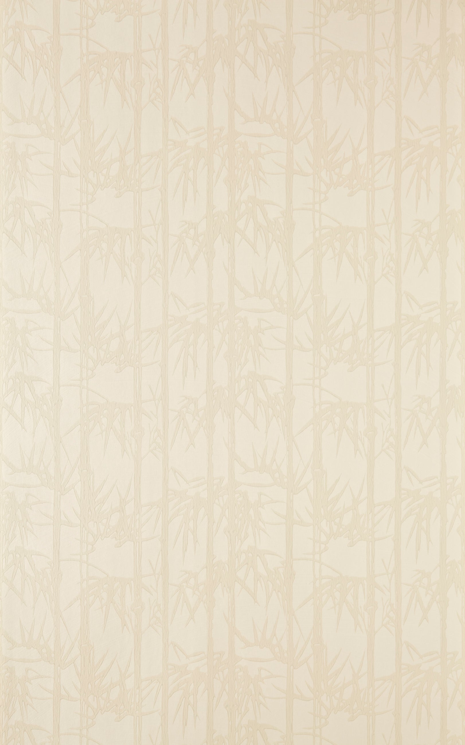 Bamboo