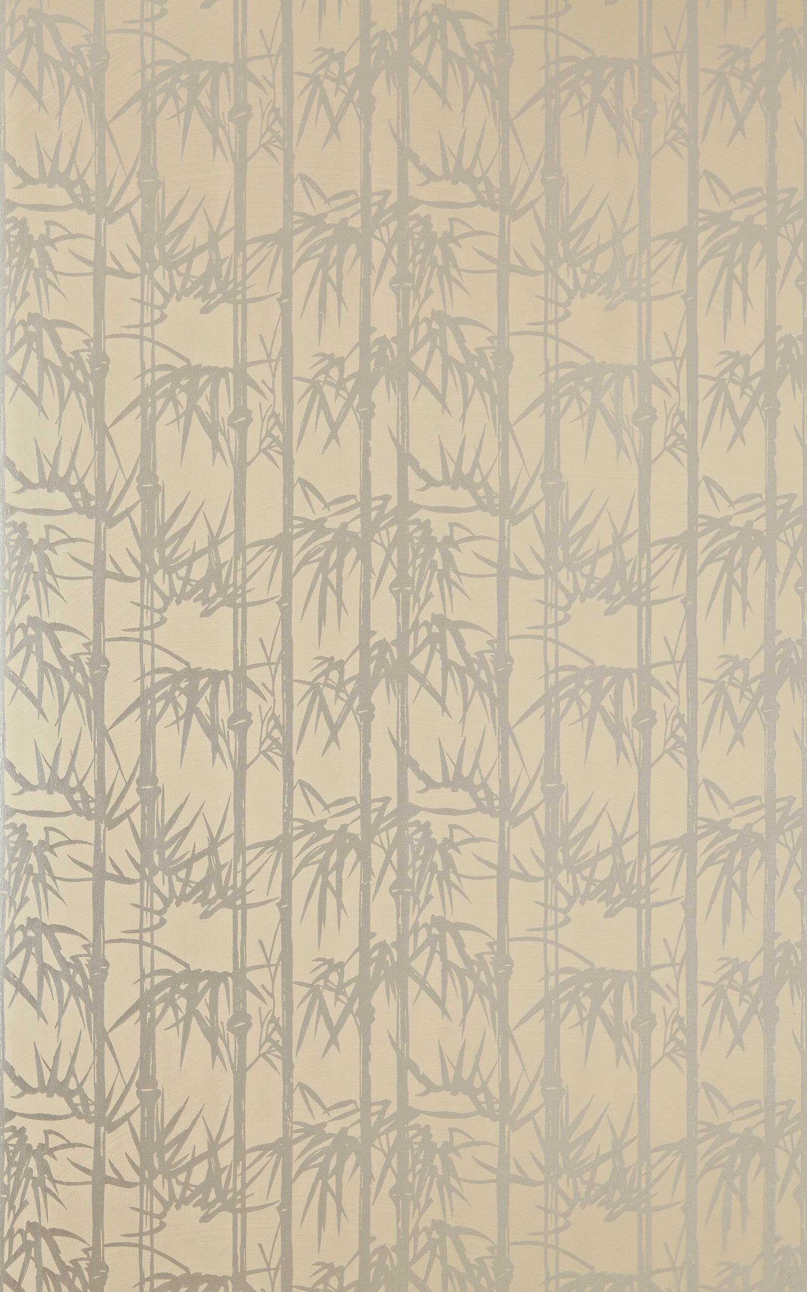 Bamboo