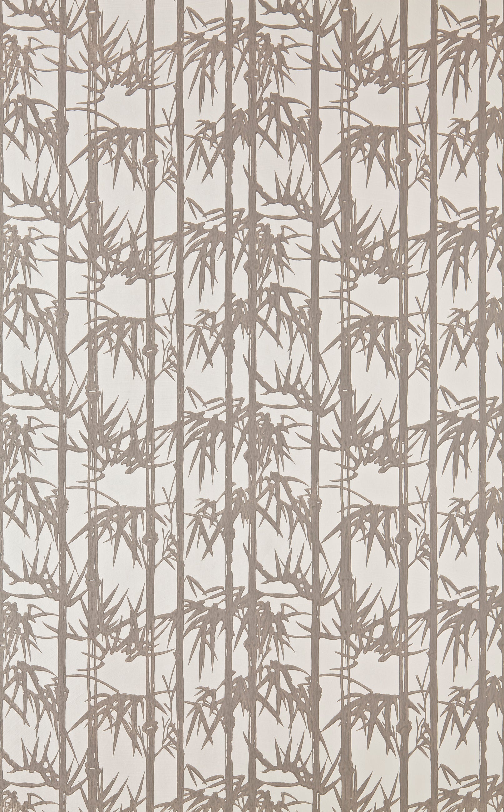Bamboo