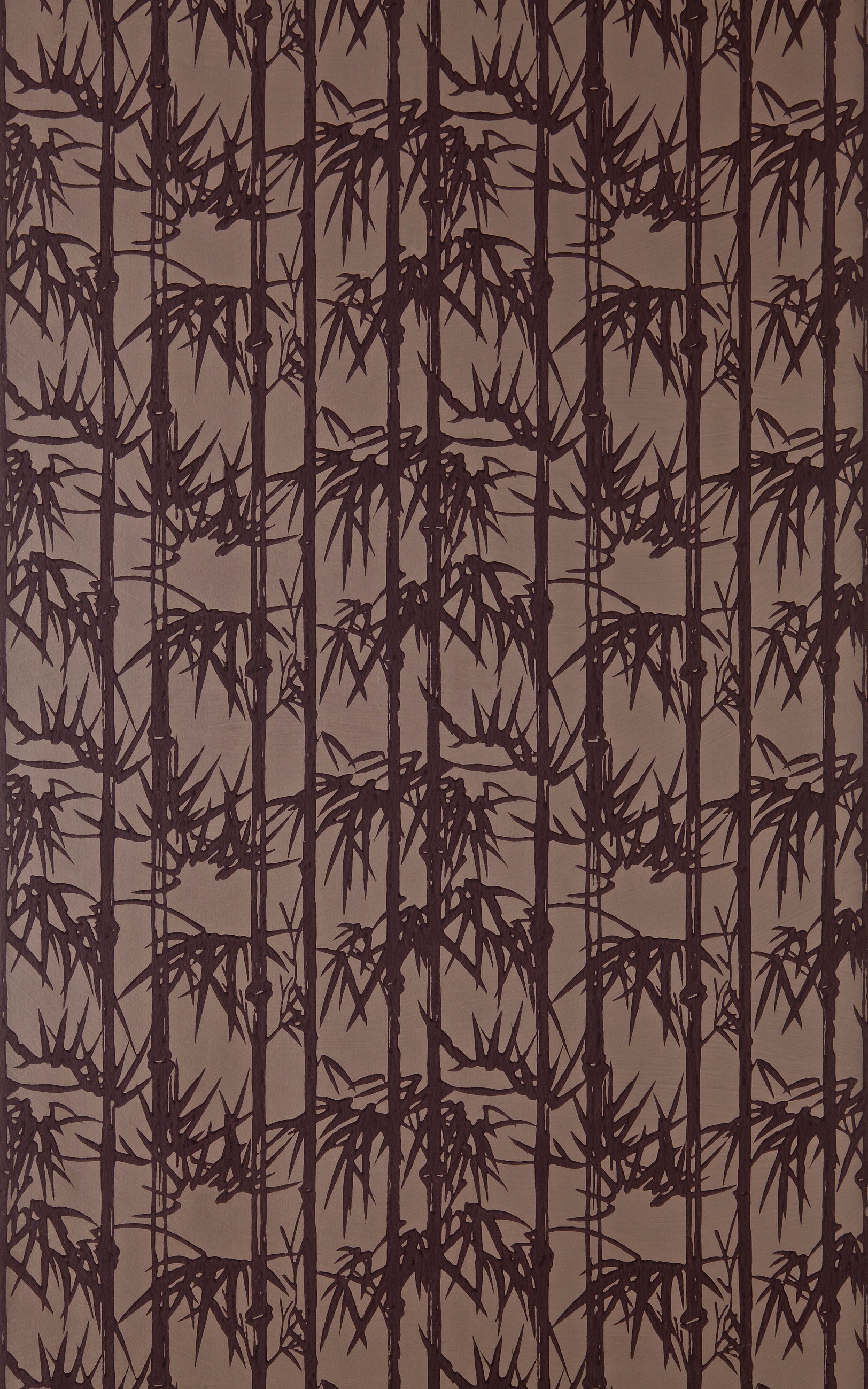 Bamboo