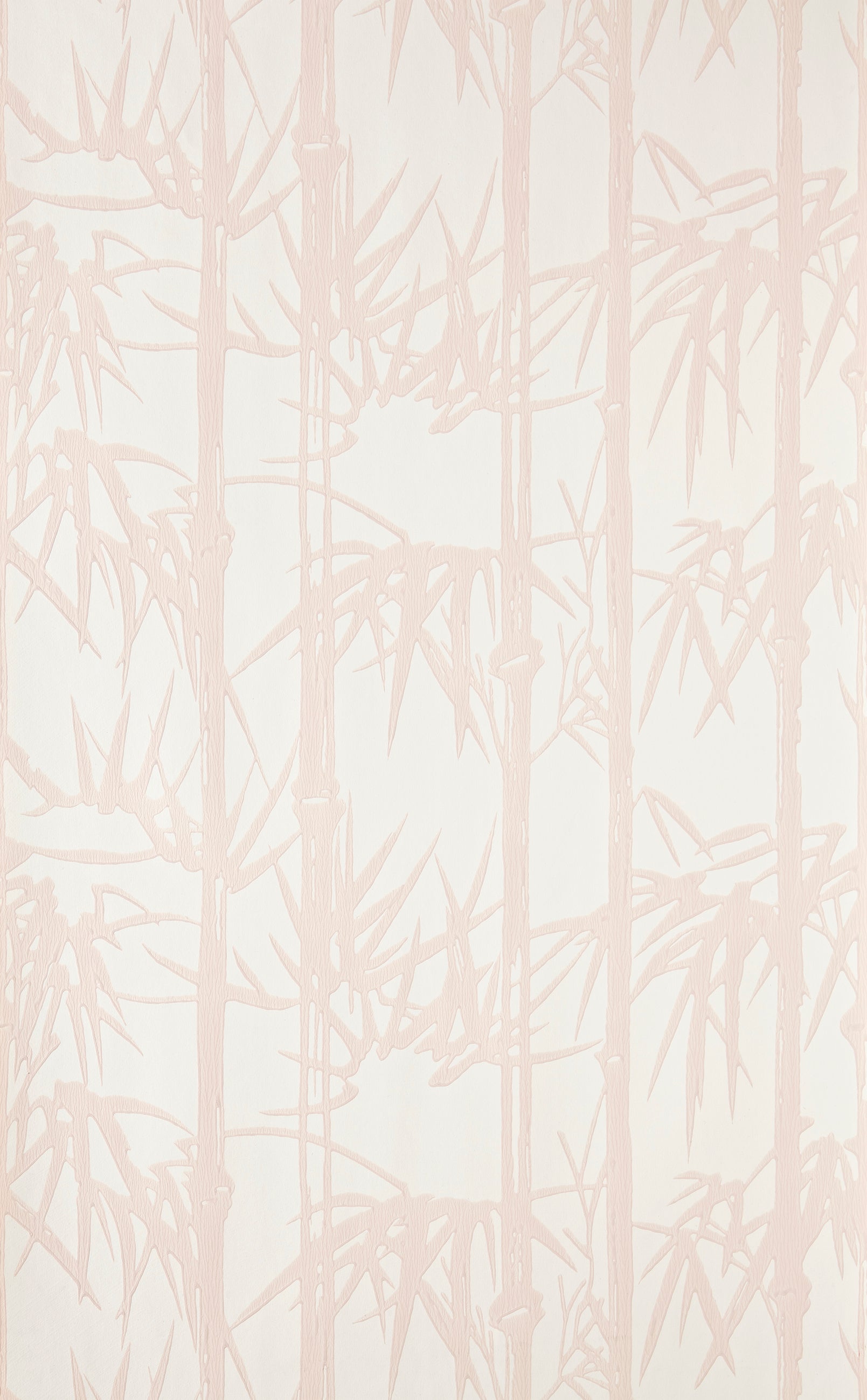 Bamboo