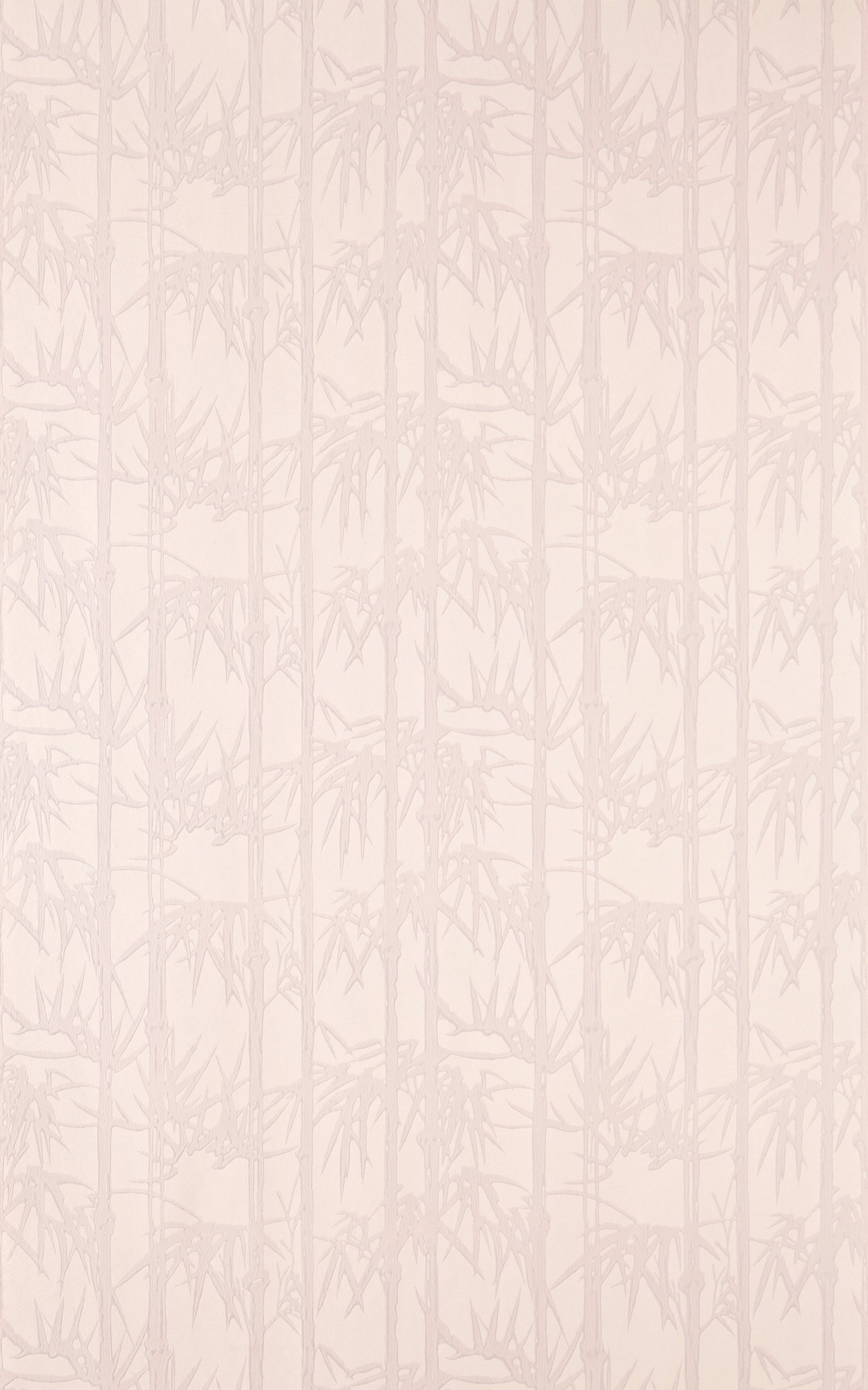 Bamboo