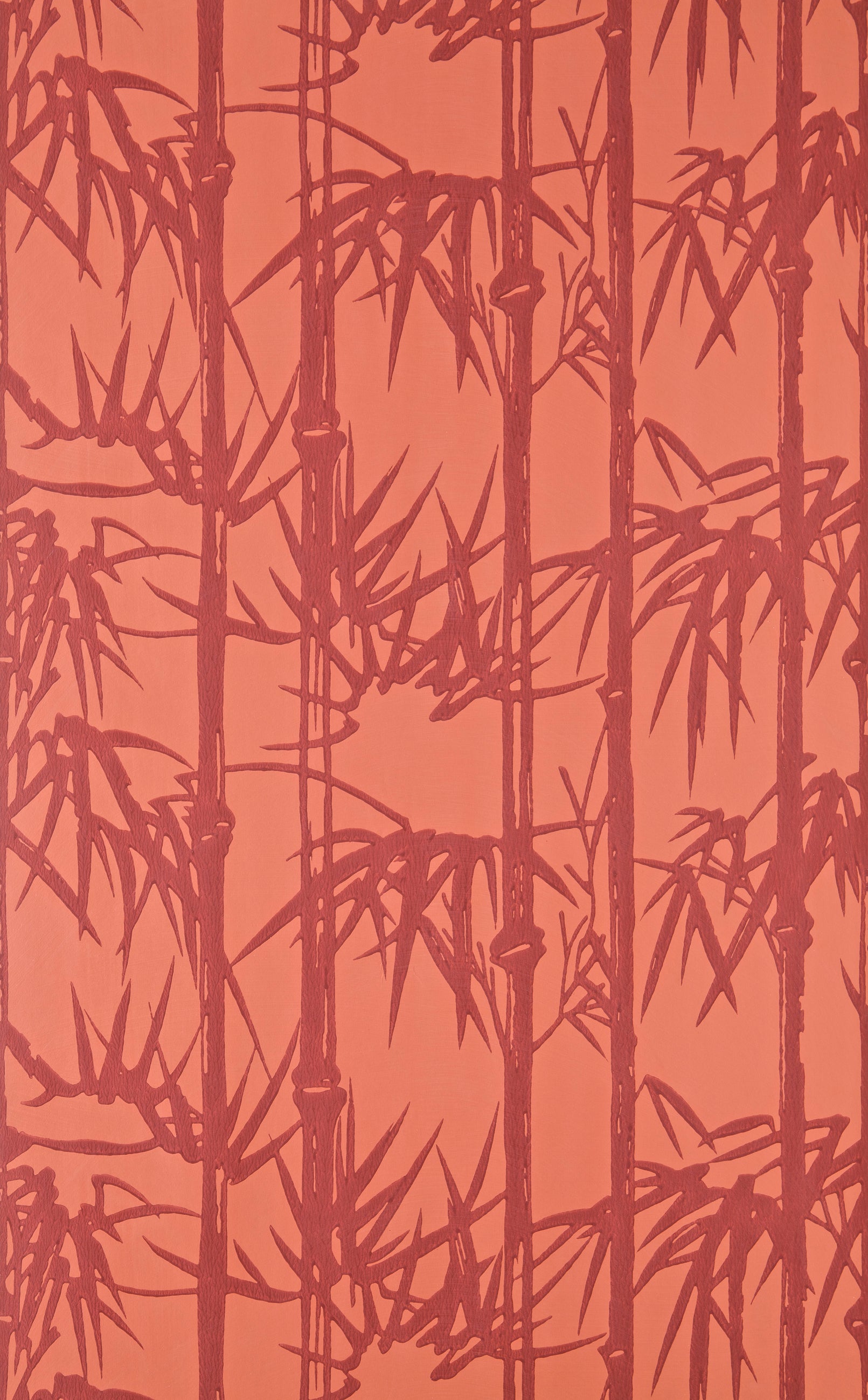 Bamboo