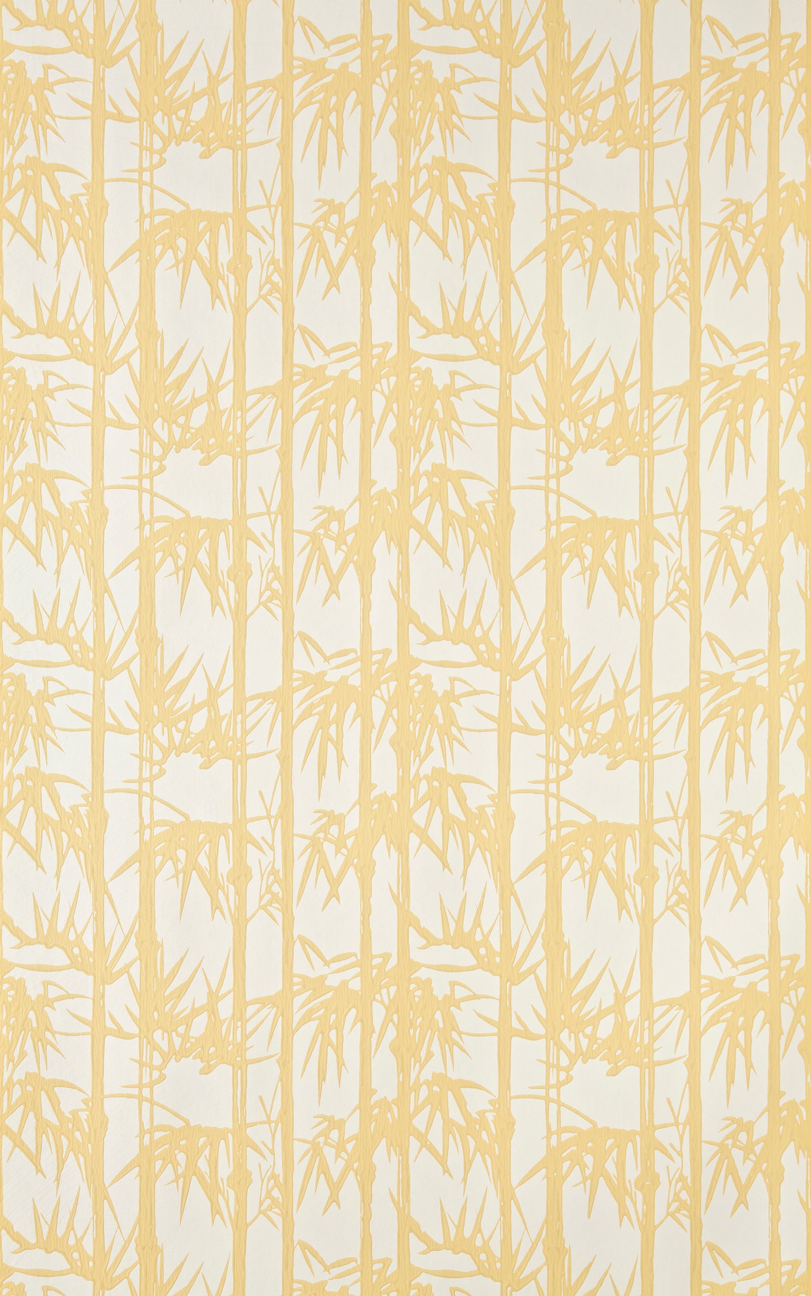 Bamboo