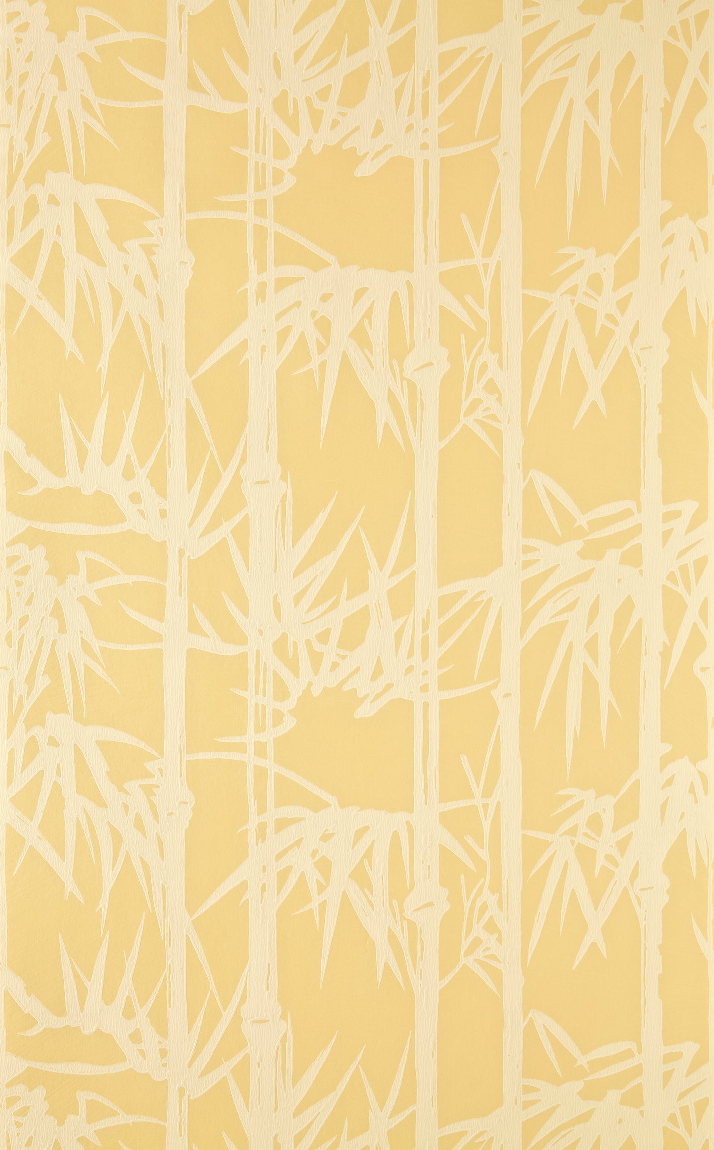 Bamboo