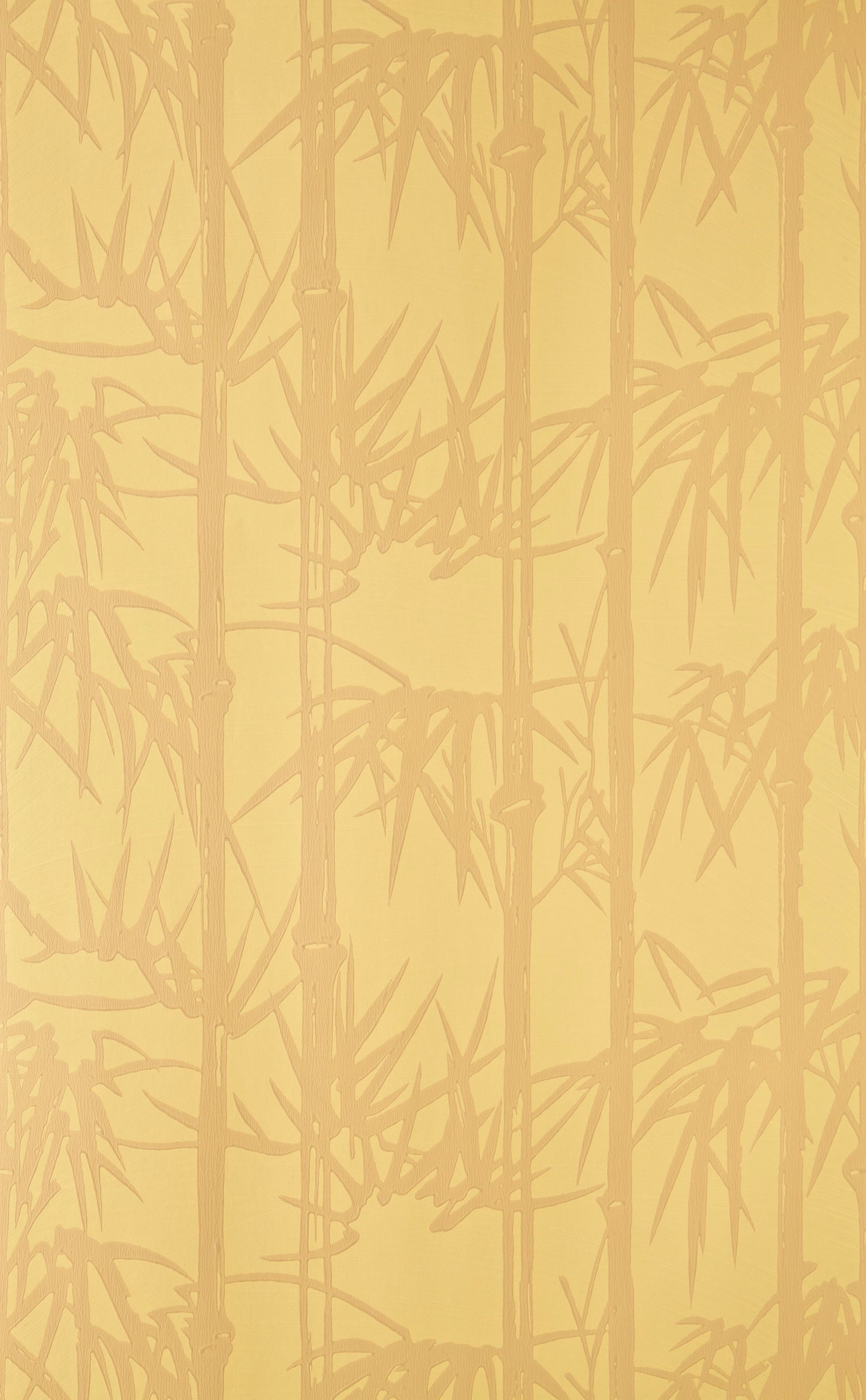 Bamboo