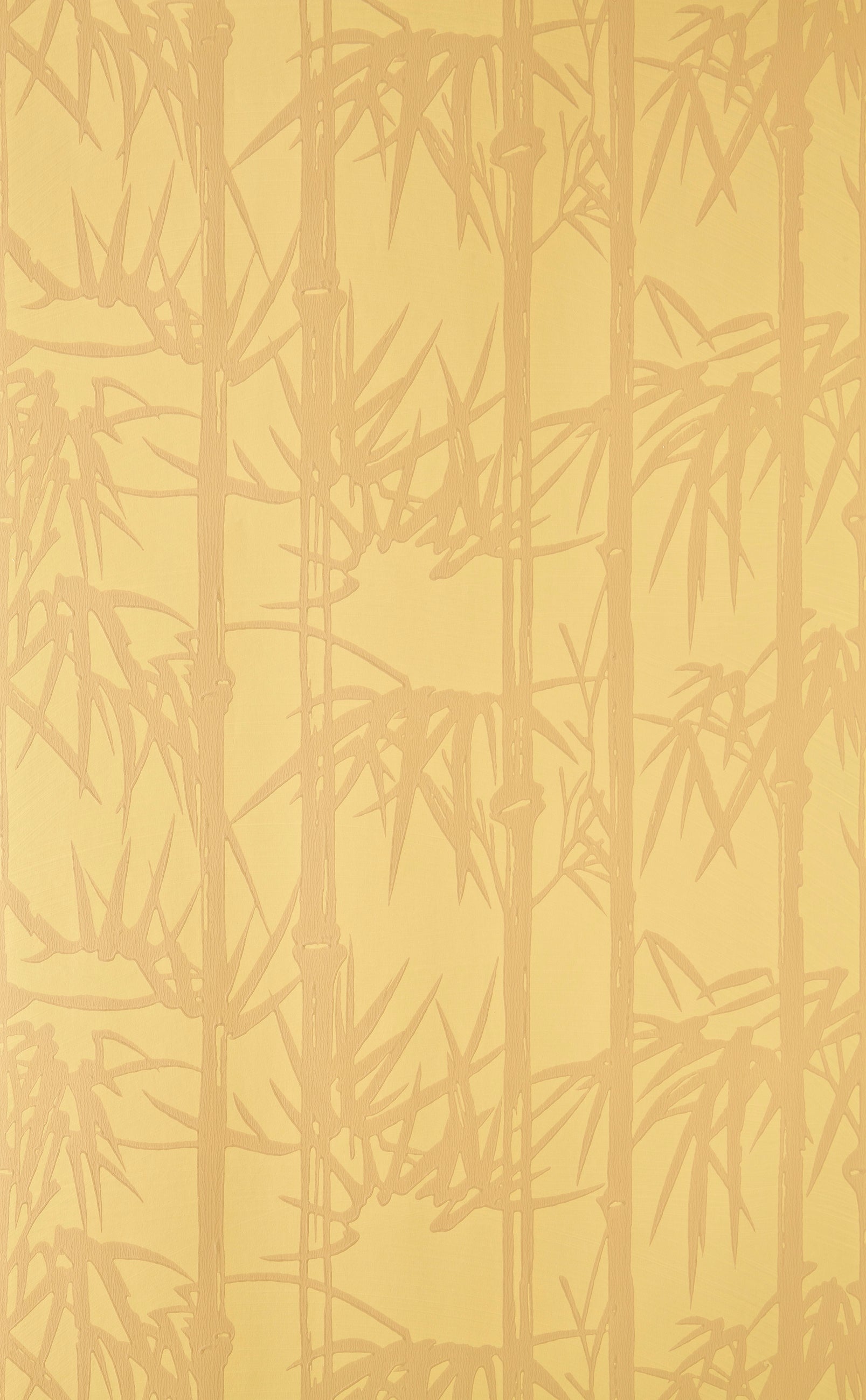 Bamboo