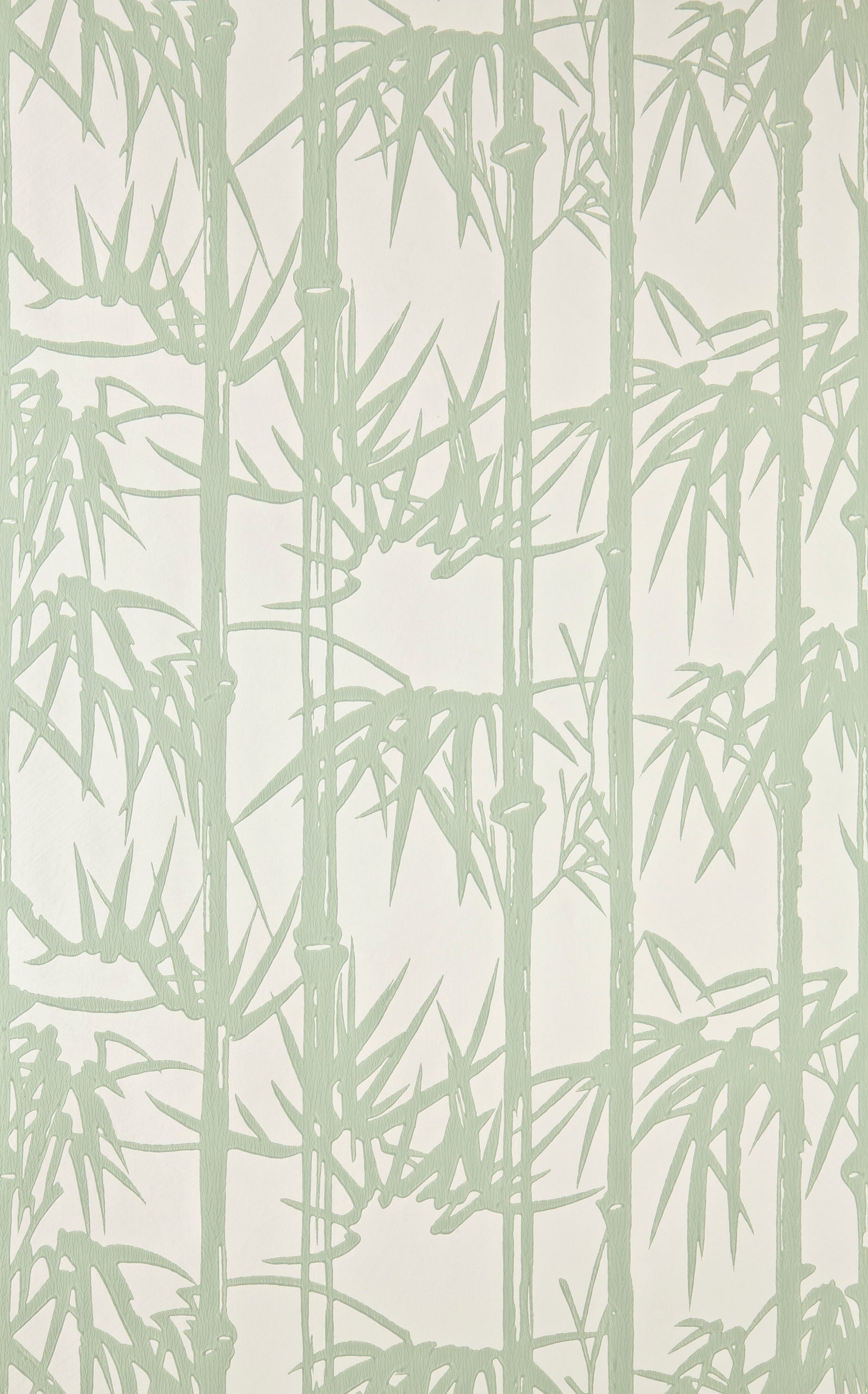 Bamboo